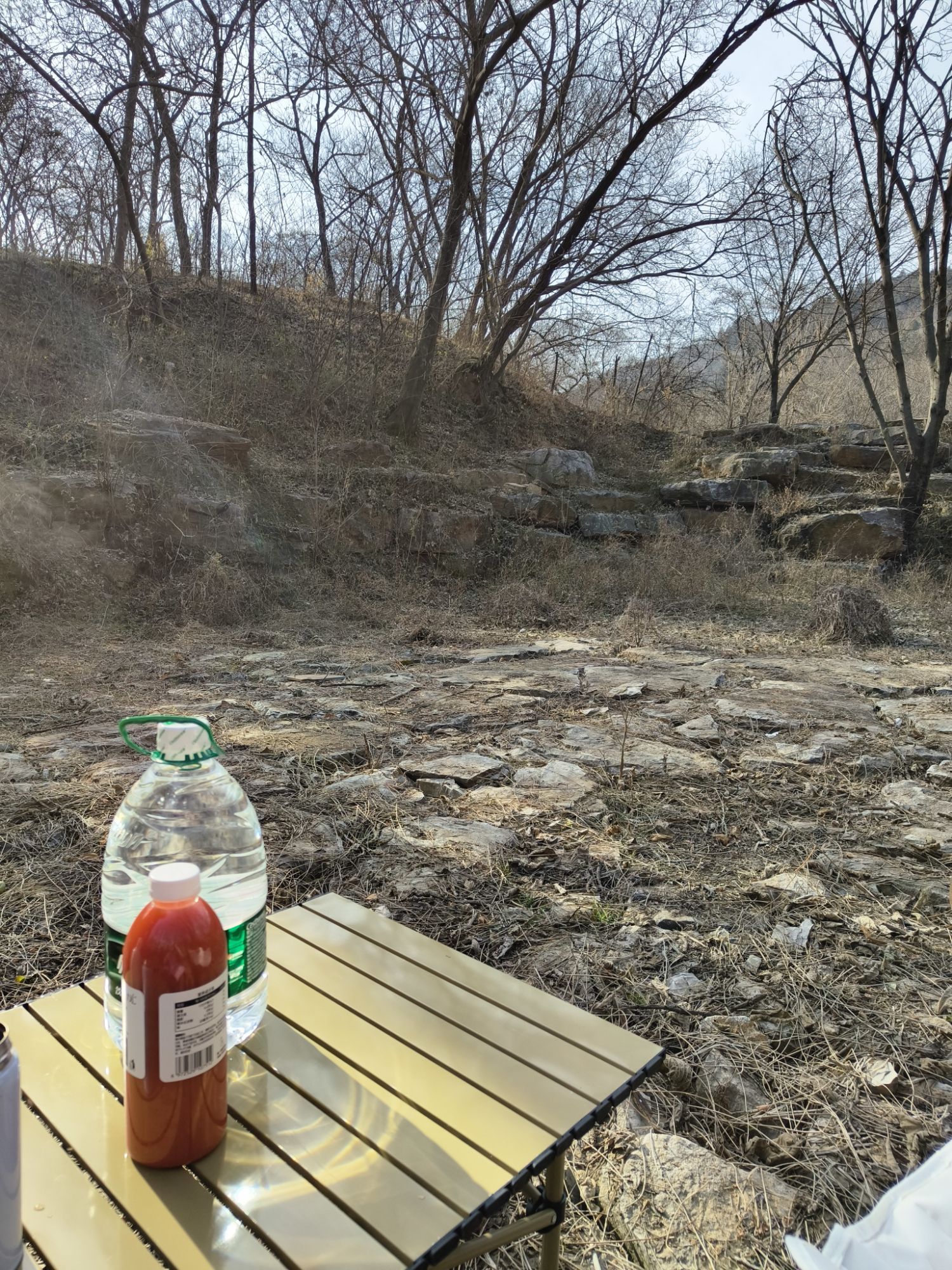 不老泉山野公园旅行图片 1