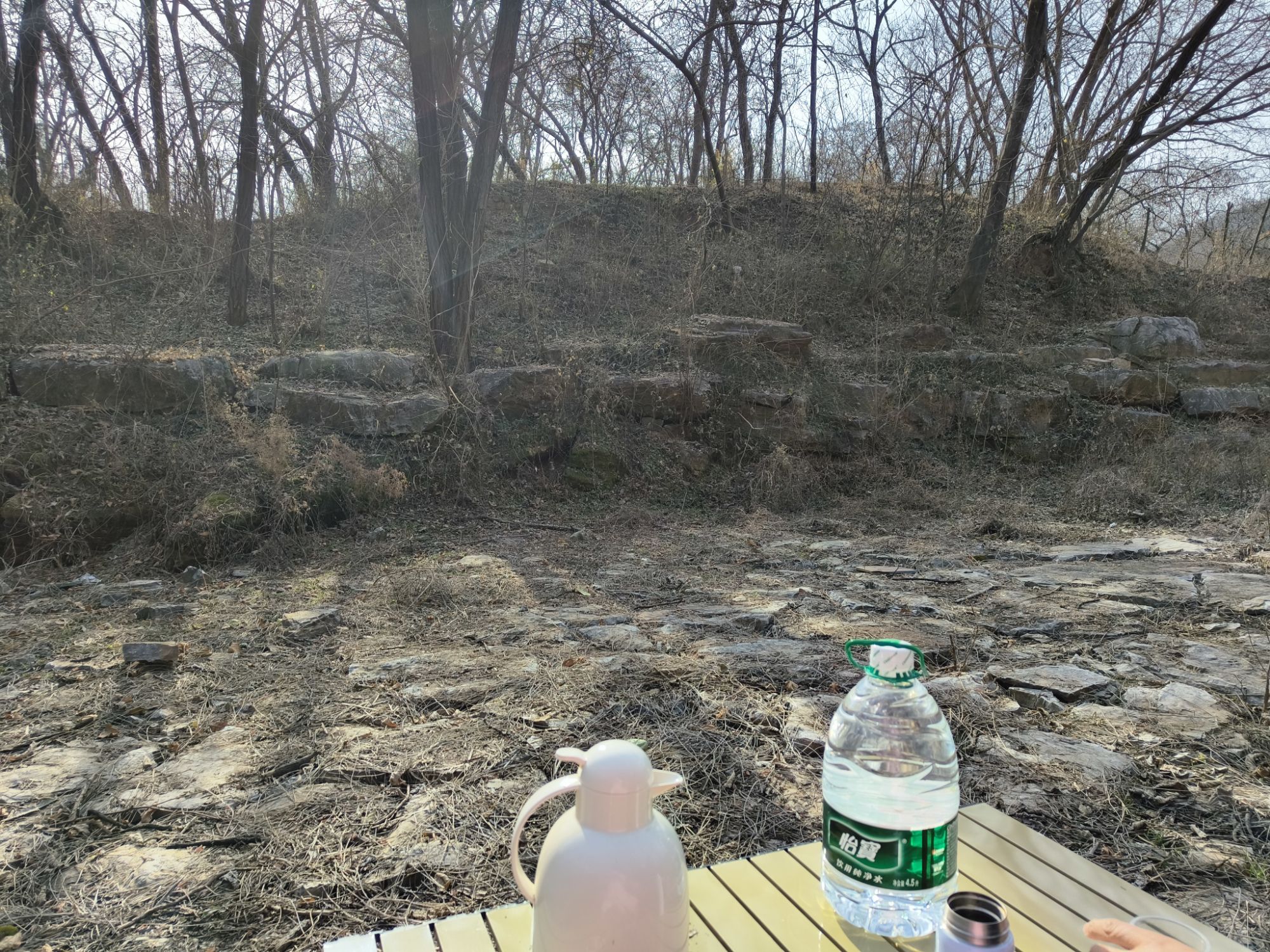不老泉山野公园旅行图片 3