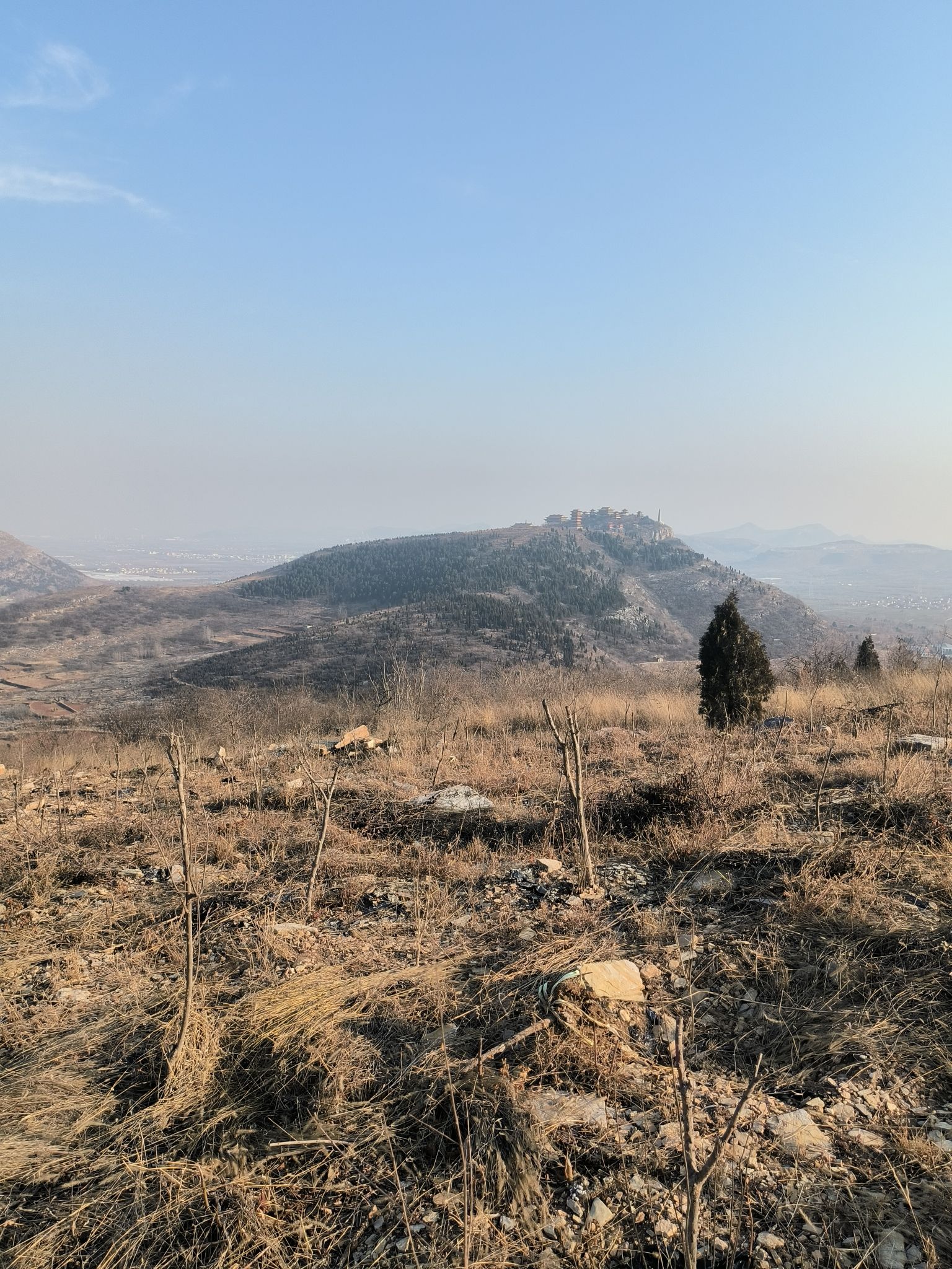 不老泉山野公园旅行图片 1