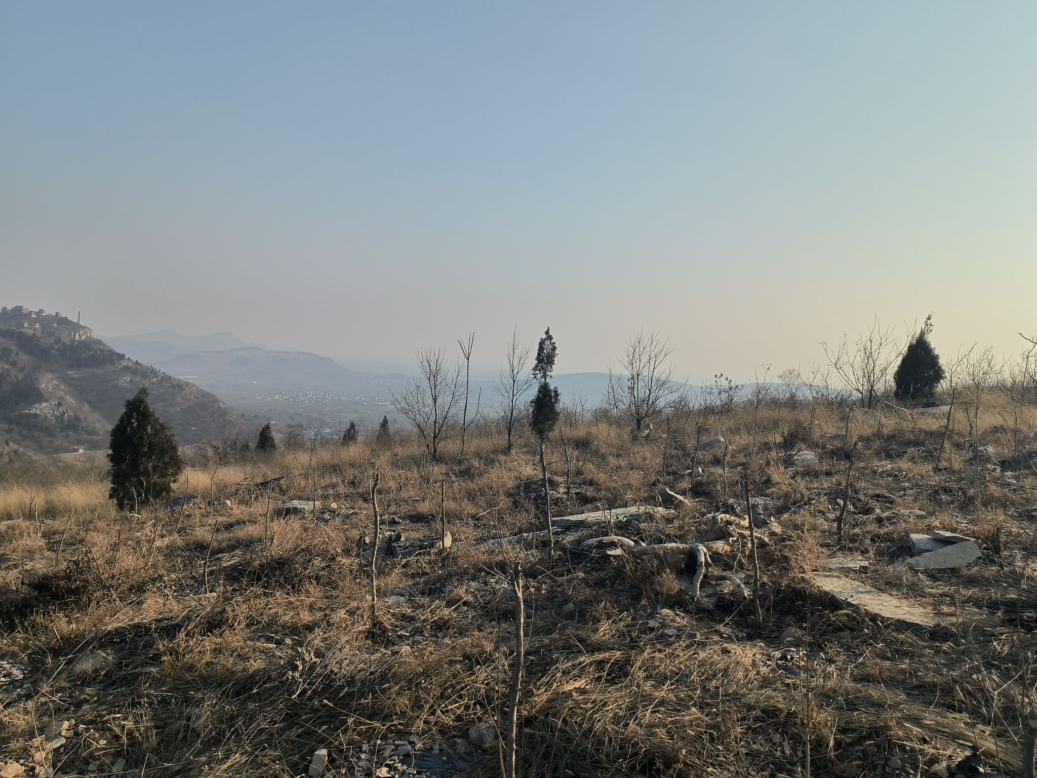 不老泉山野公园旅行图片 3