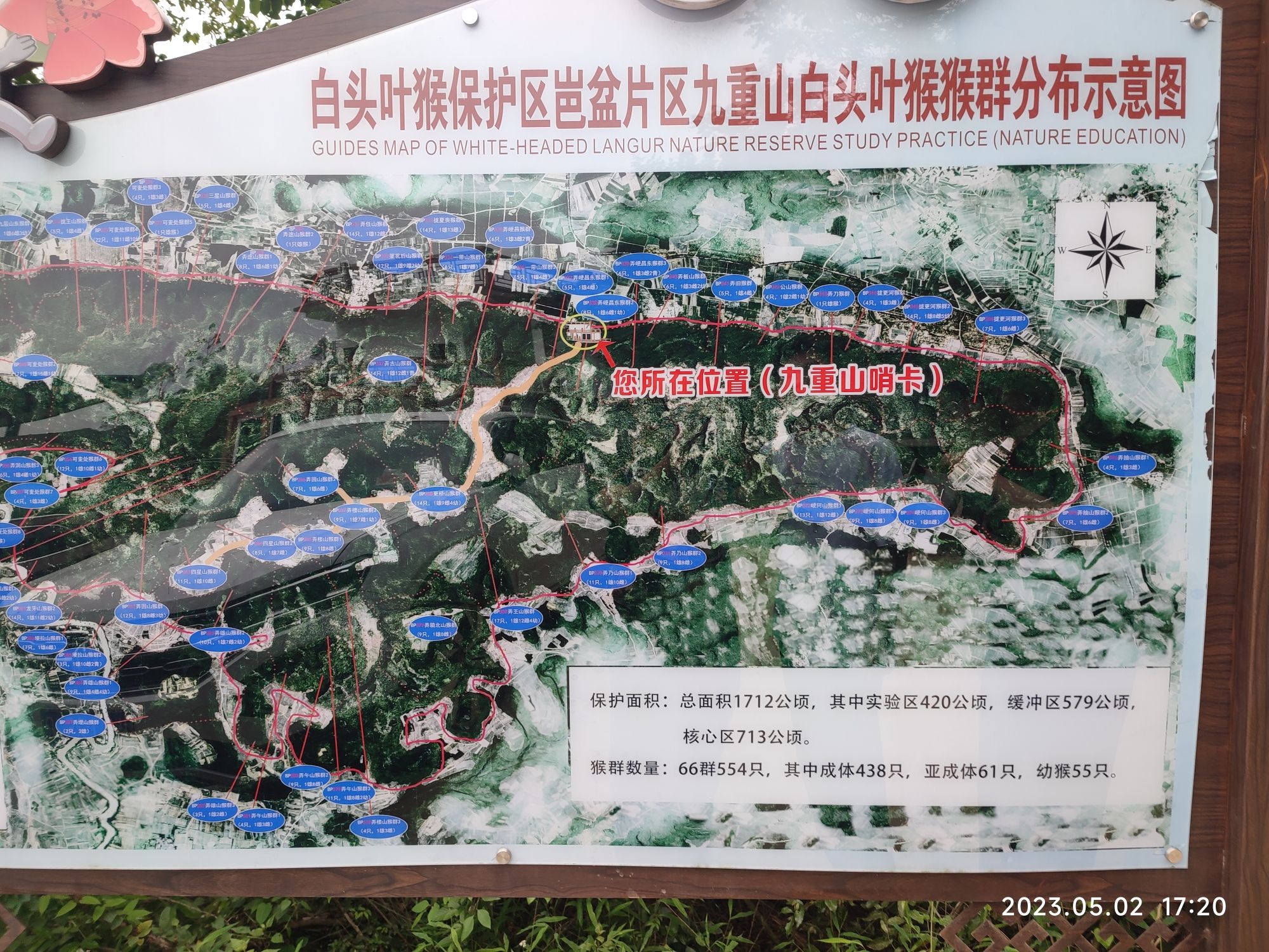 便是一条完美的崇左山