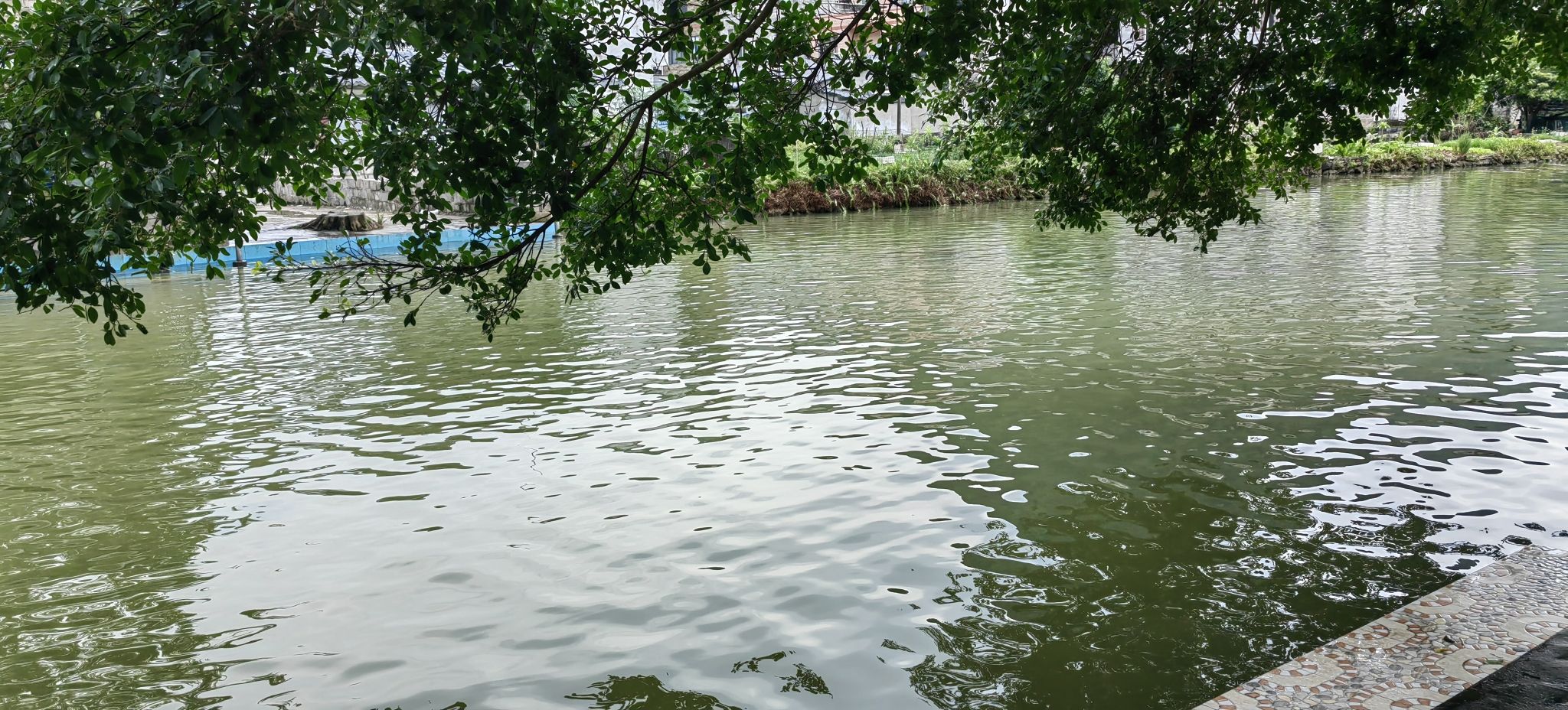蛙鸣谷景区旅行图片 1