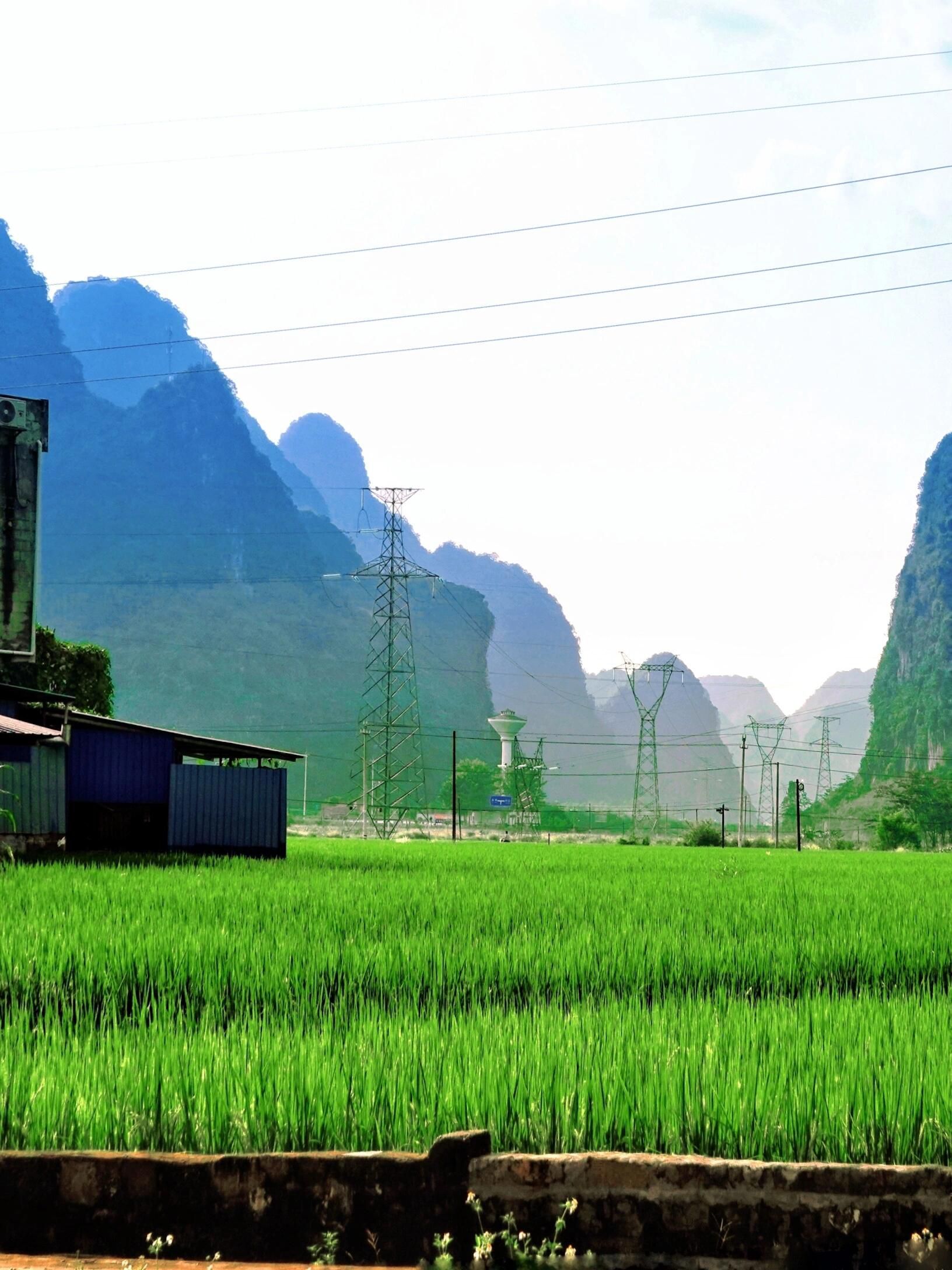 蛙鸣谷景区旅行图片 3