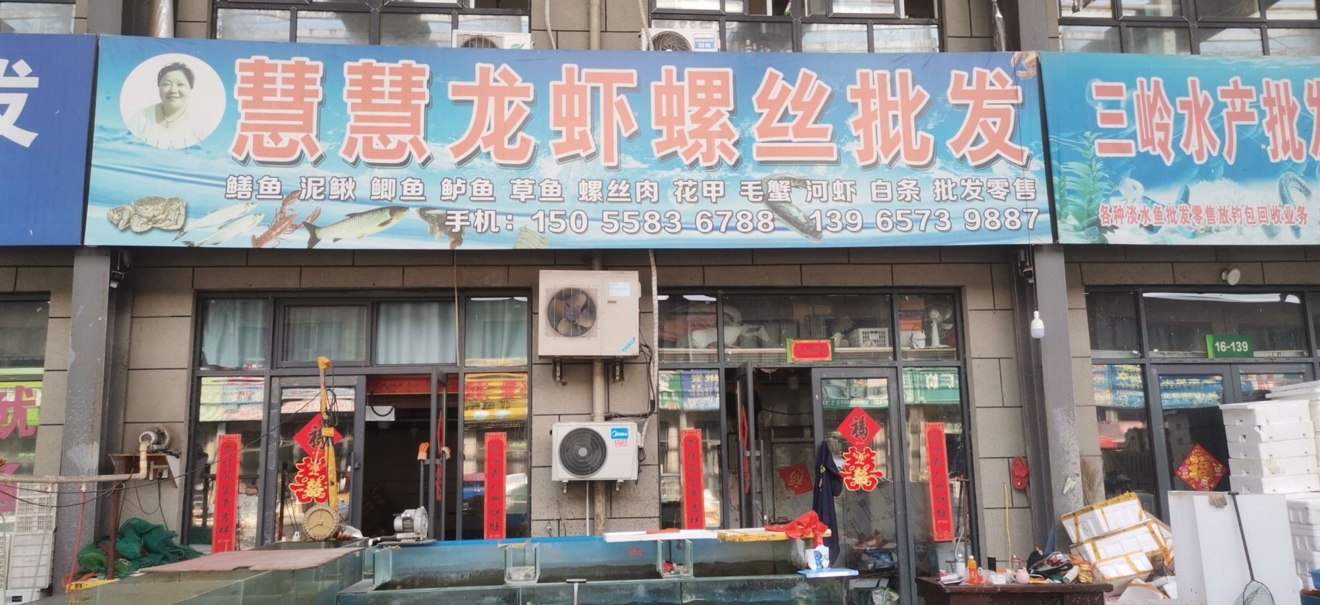 慧慧龙虾螺丝批发