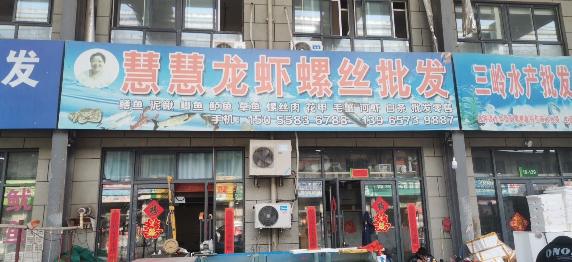 慧慧龙虾螺丝批发