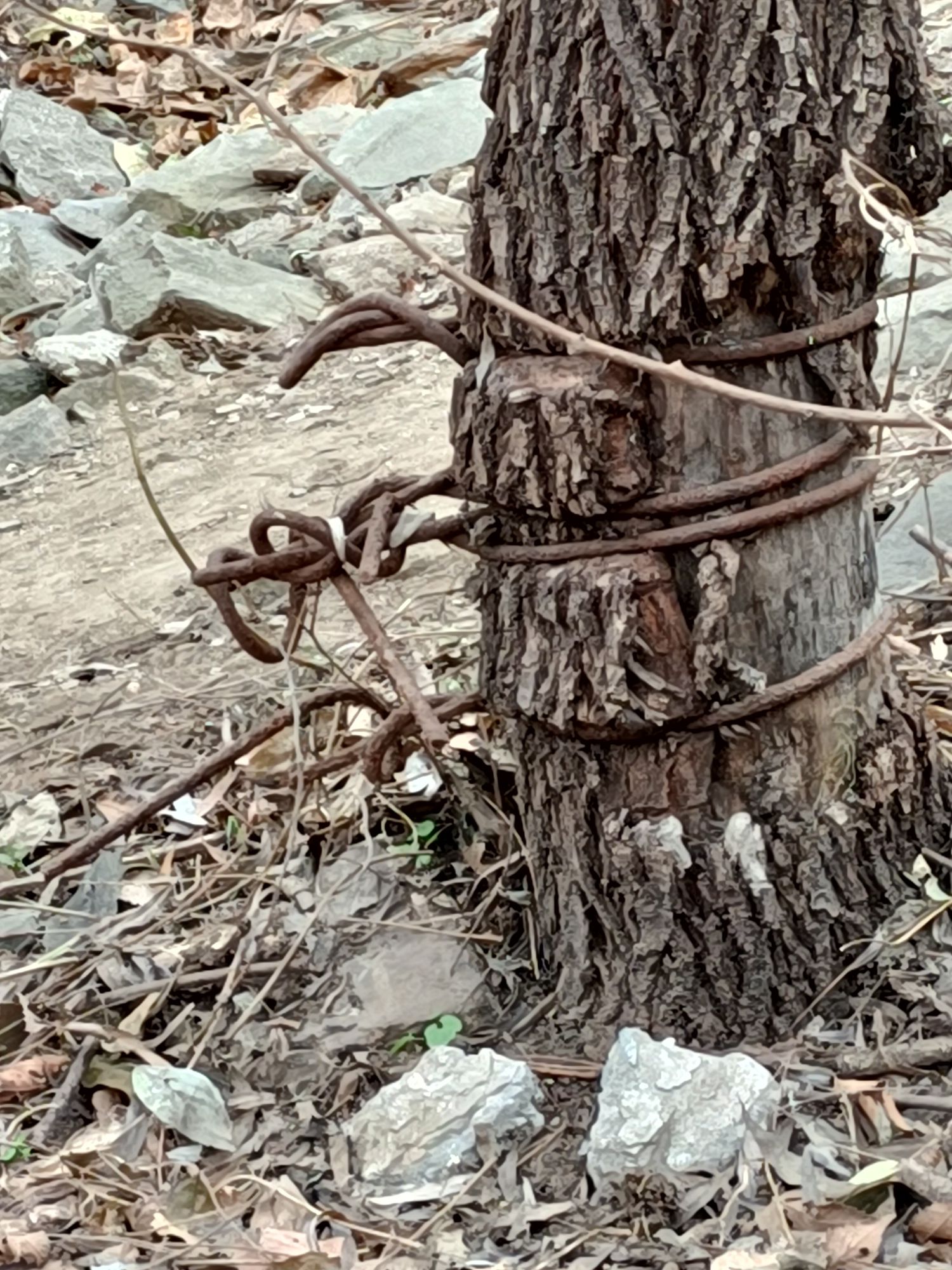 封龙公园旅行图片 2