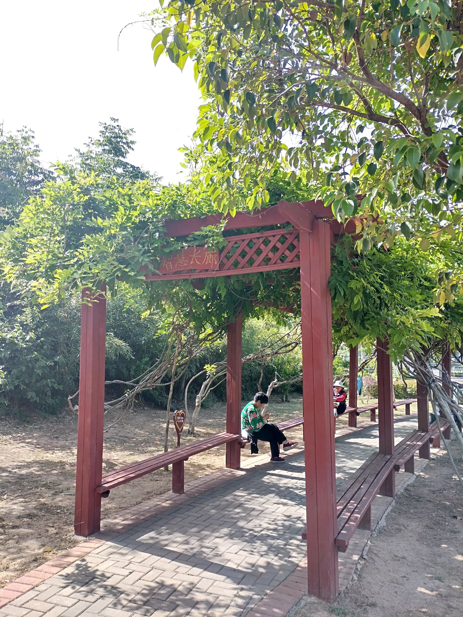 萧县文明交通主题公园旅行图片 3