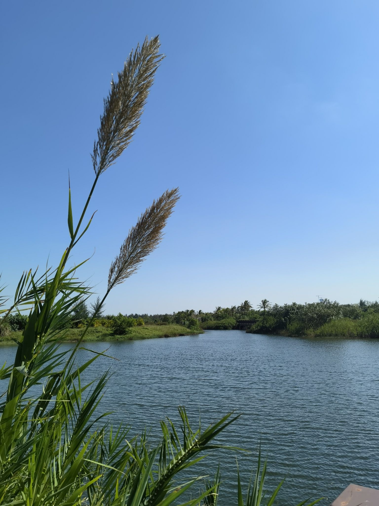迈雅河滨海湿地公园