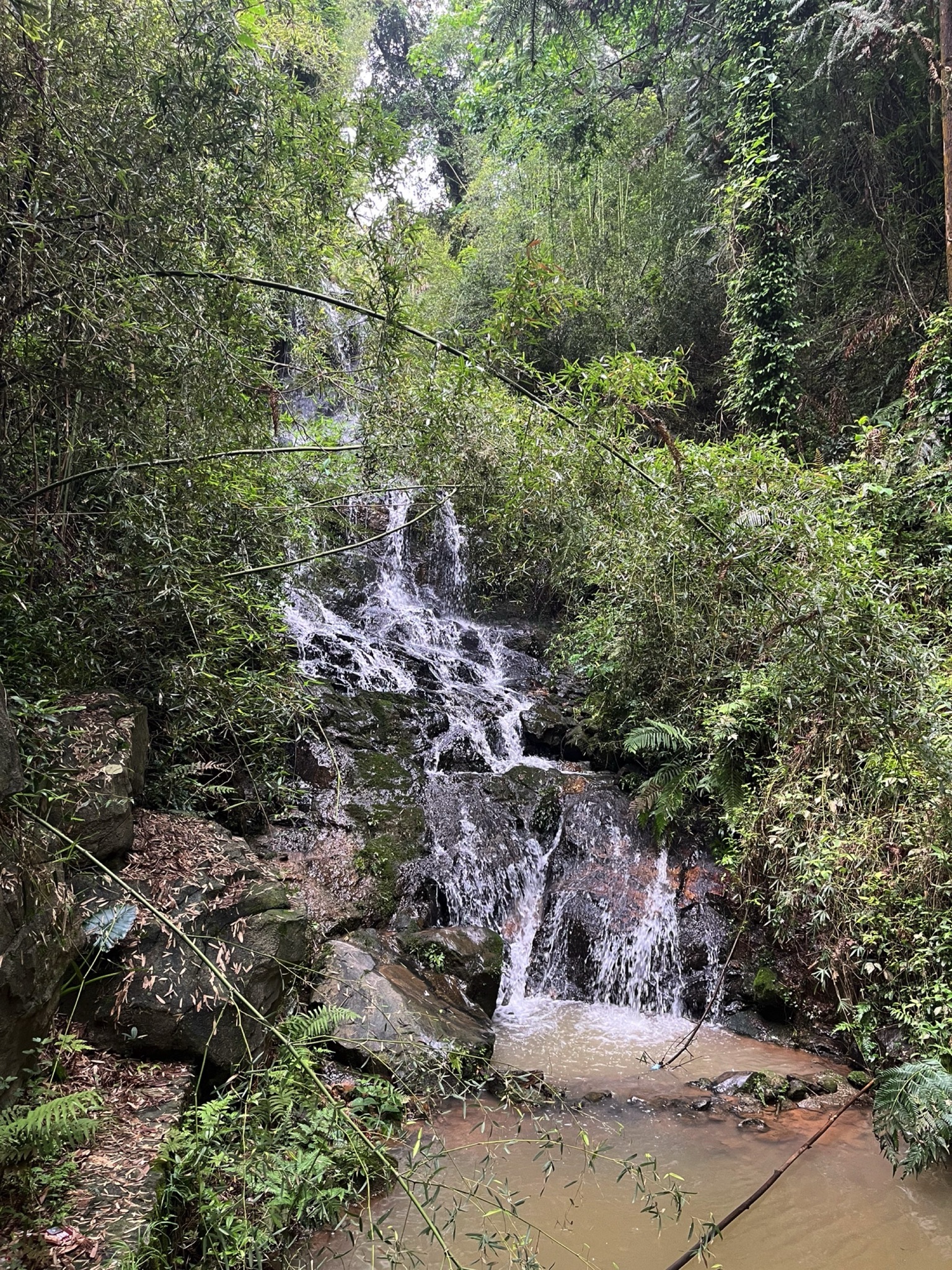 桃花源登山步道旅行图片 1