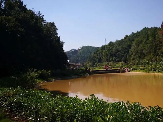 桃花源登山步道旅行图片 2