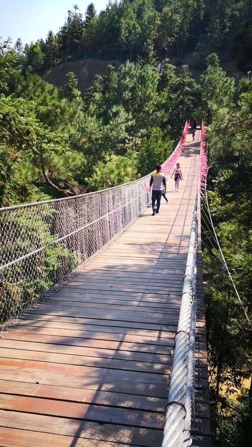 桃花源登山步道旅行图片 3