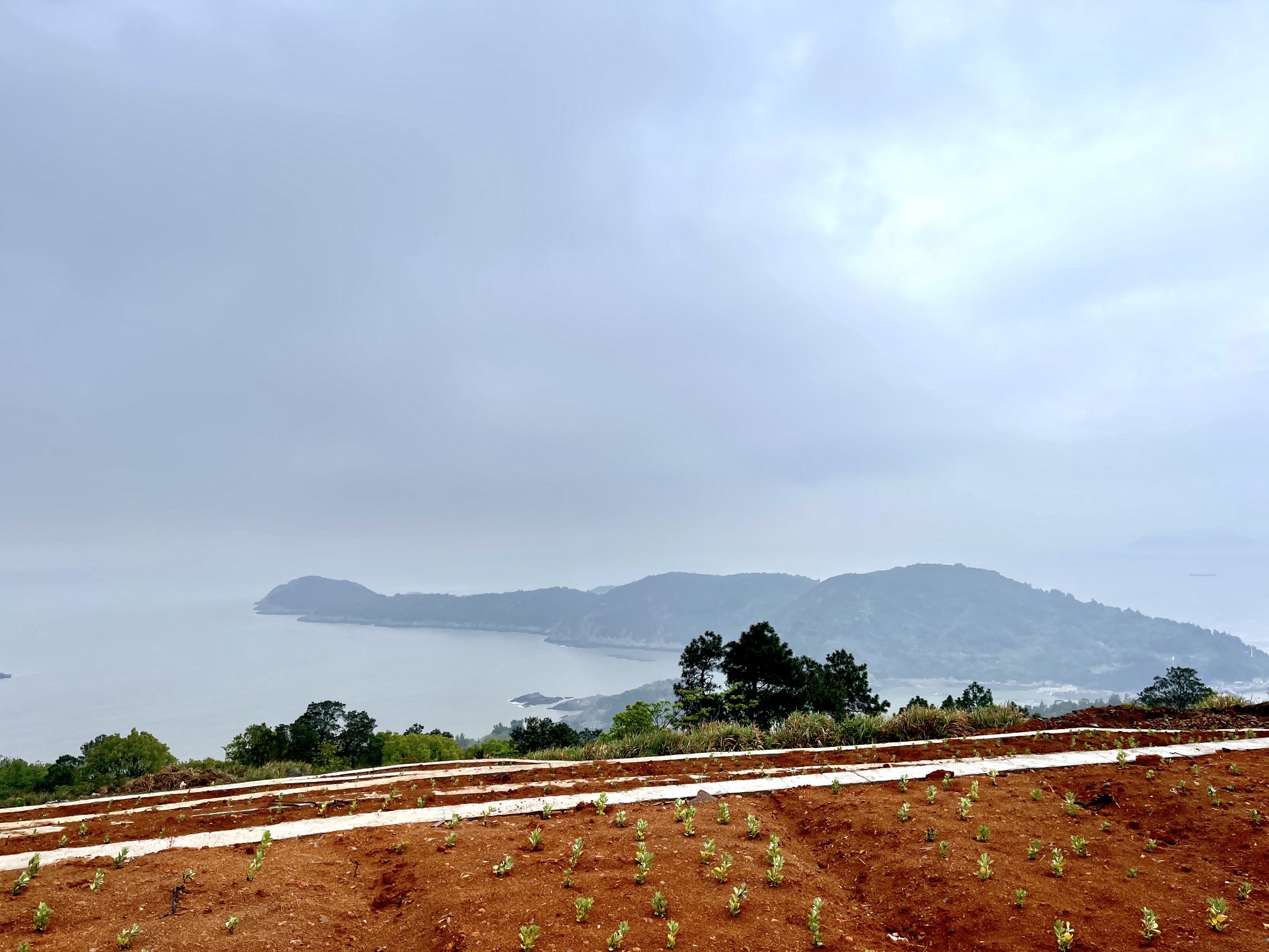 霞关观景台旅行图片 3