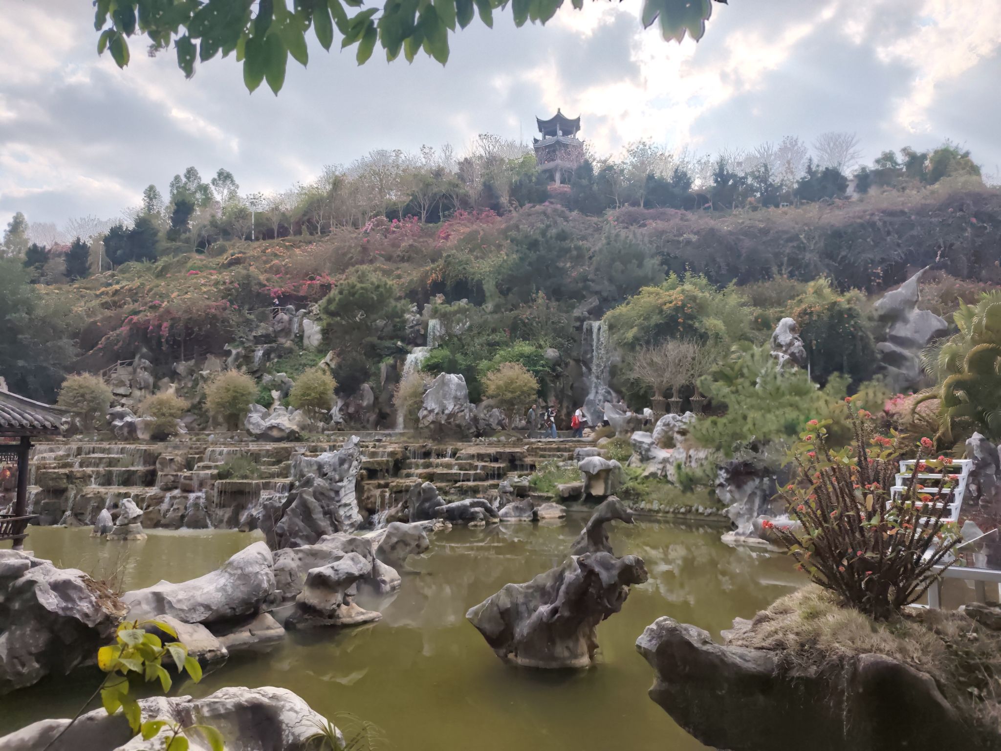高州岭南凤凰园旅行图片 2