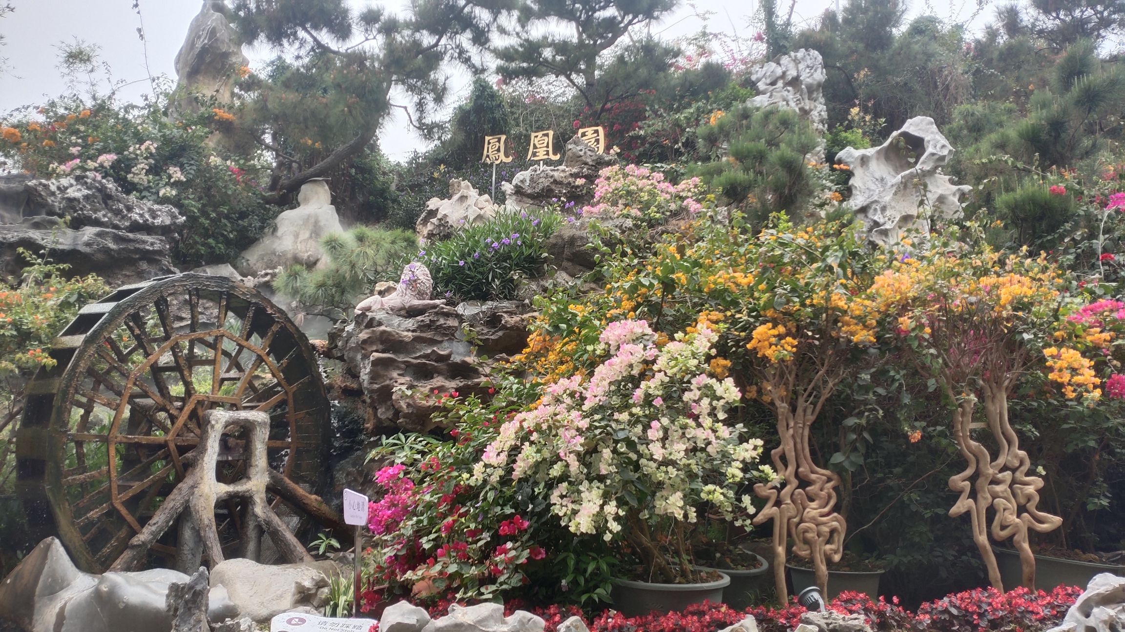 高州岭南凤凰园旅行图片 1