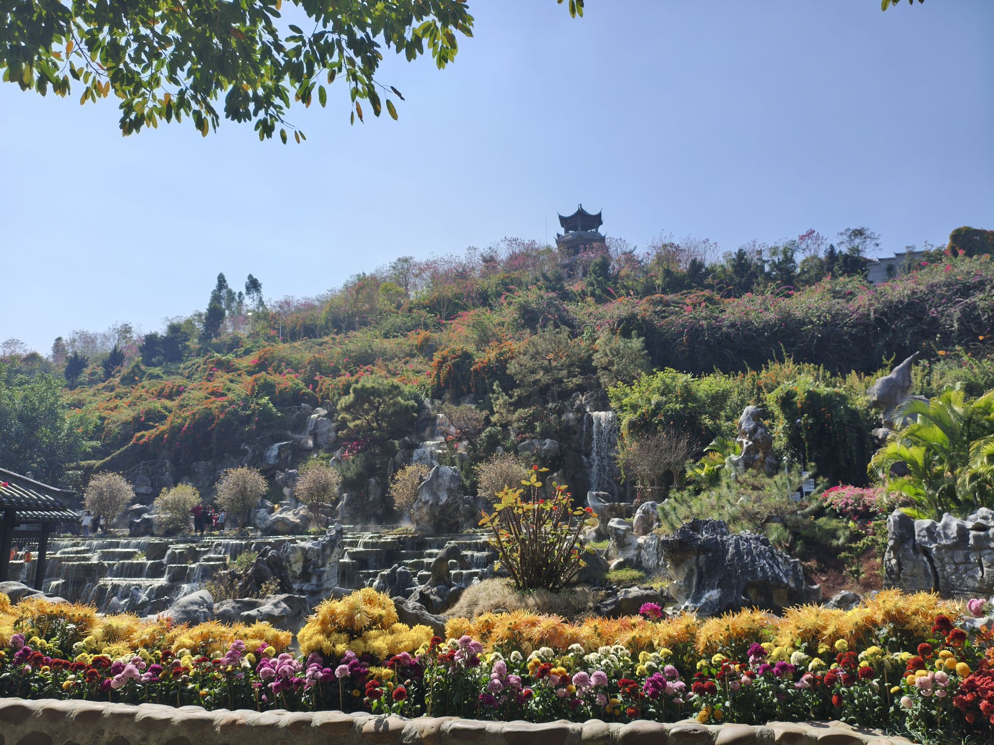 高州岭南凤凰园旅行图片 2