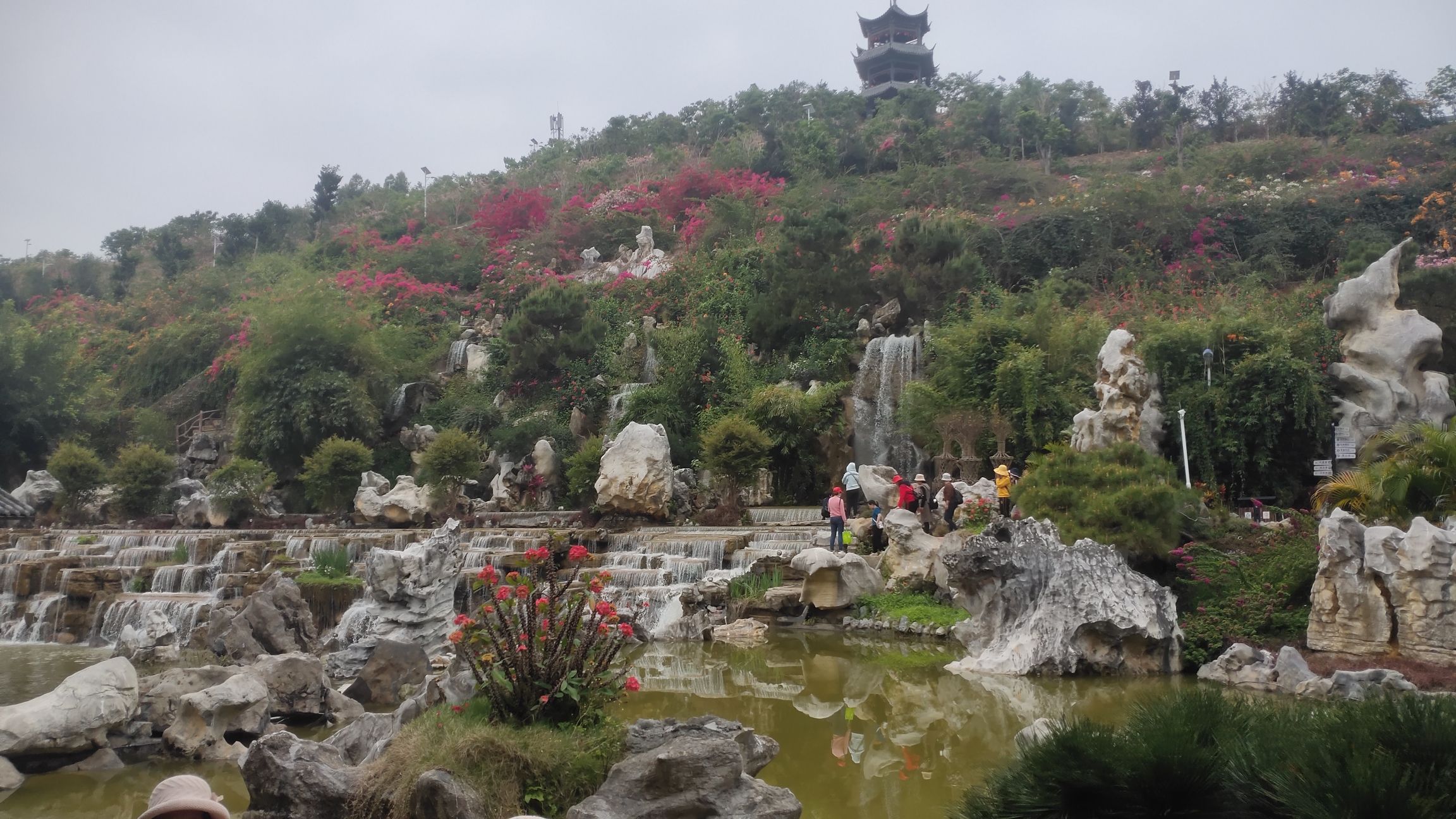 高州岭南凤凰园旅行图片 2
