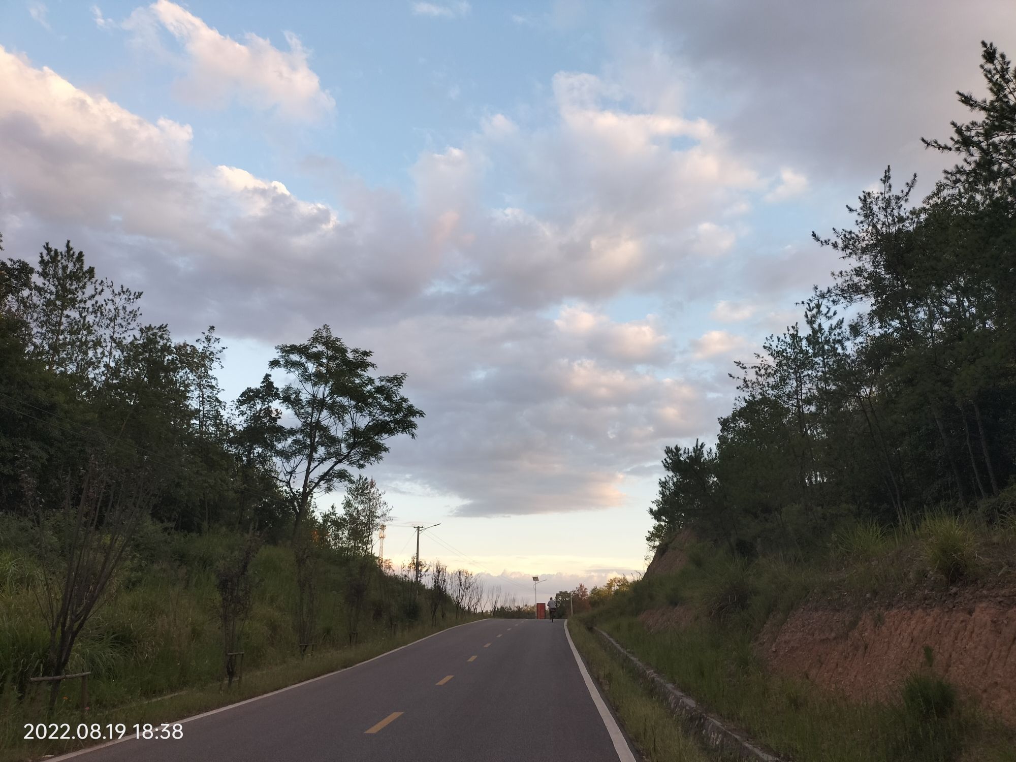 龙凤尾登山步道旅行图片 1