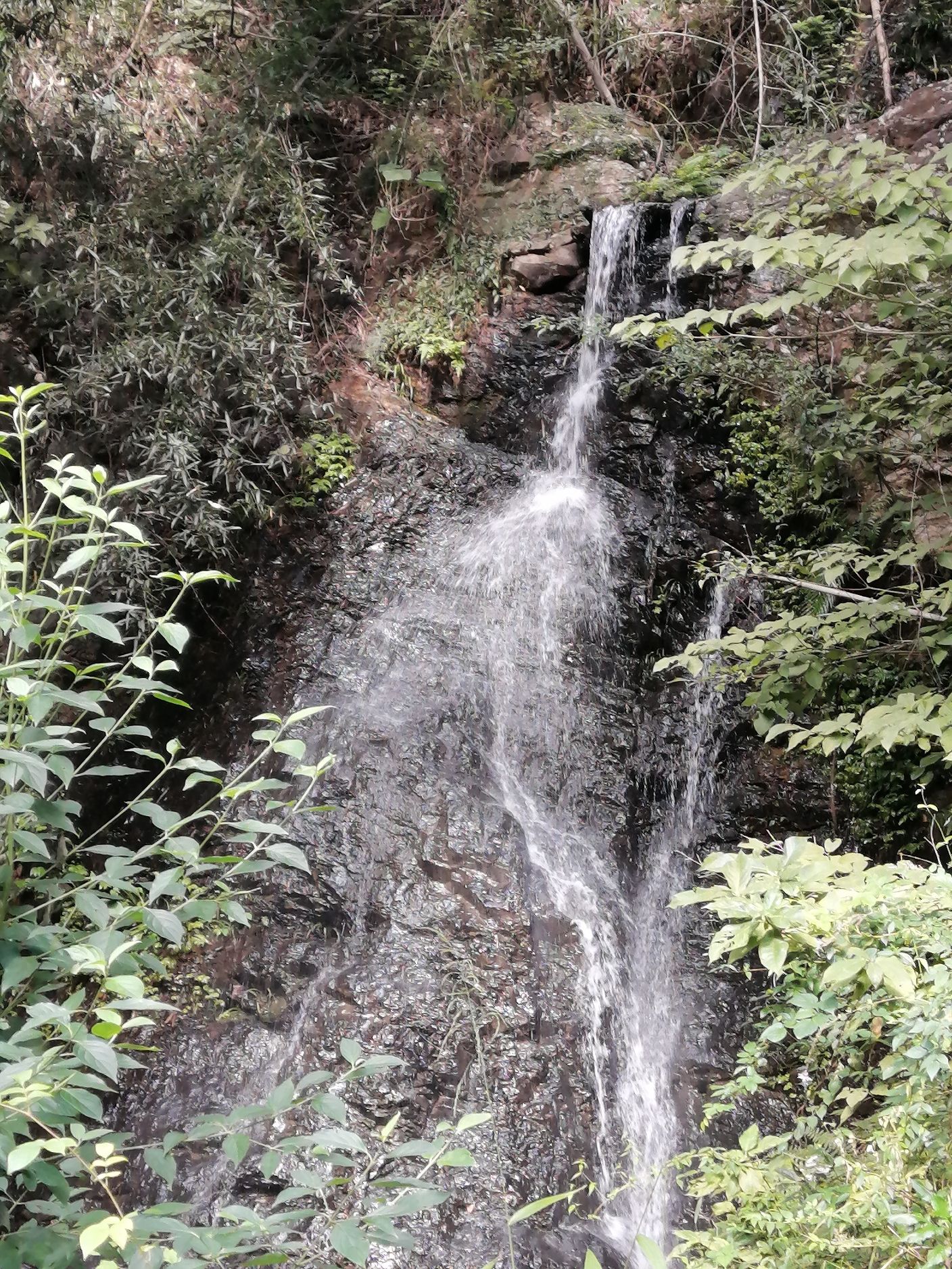 龙凤尾登山步道旅行图片 3