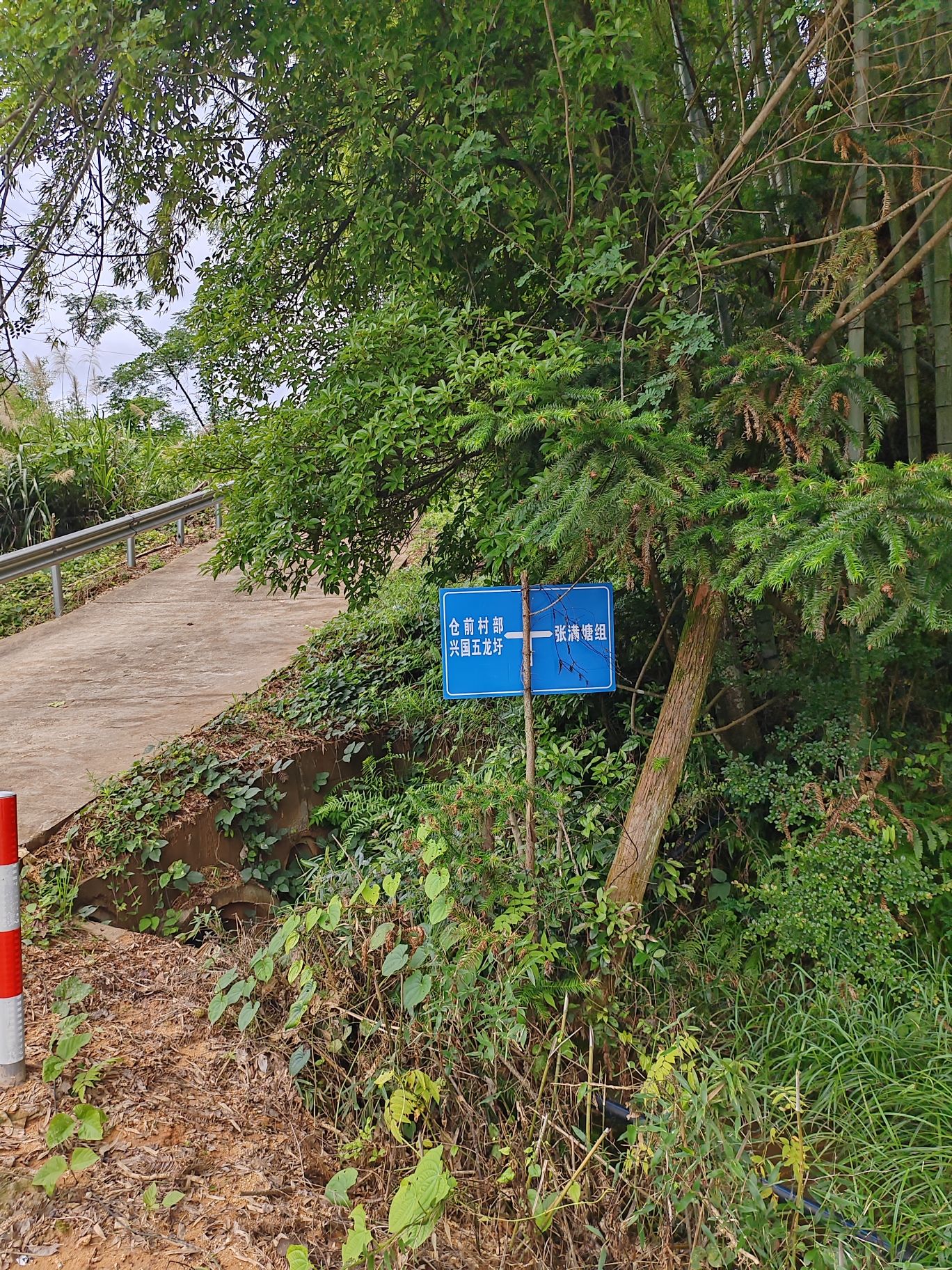 龙凤尾登山步道旅行图片 3