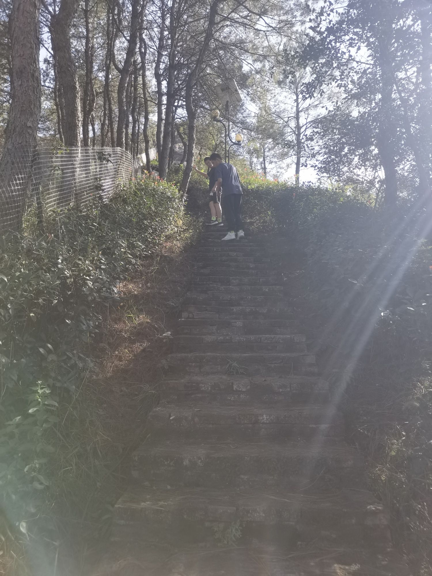 仙人桥登山步道旅行图片 3