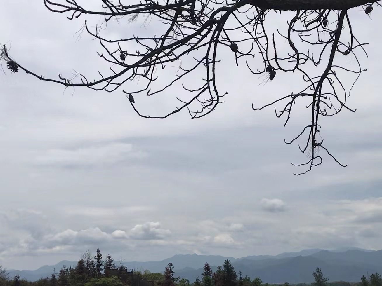 仙人桥登山步道旅行图片 1