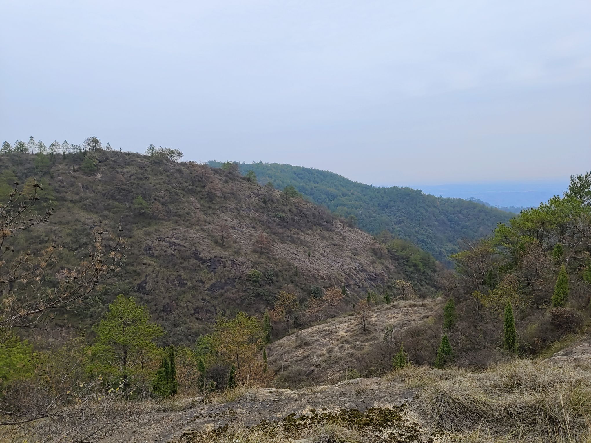岑山森林公园登山步道旅行图片 3