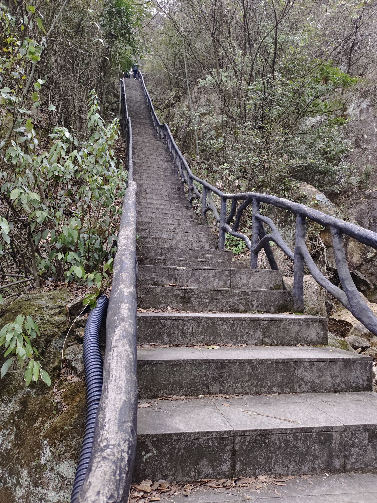 岑山森林公园登山步道旅行图片 2
