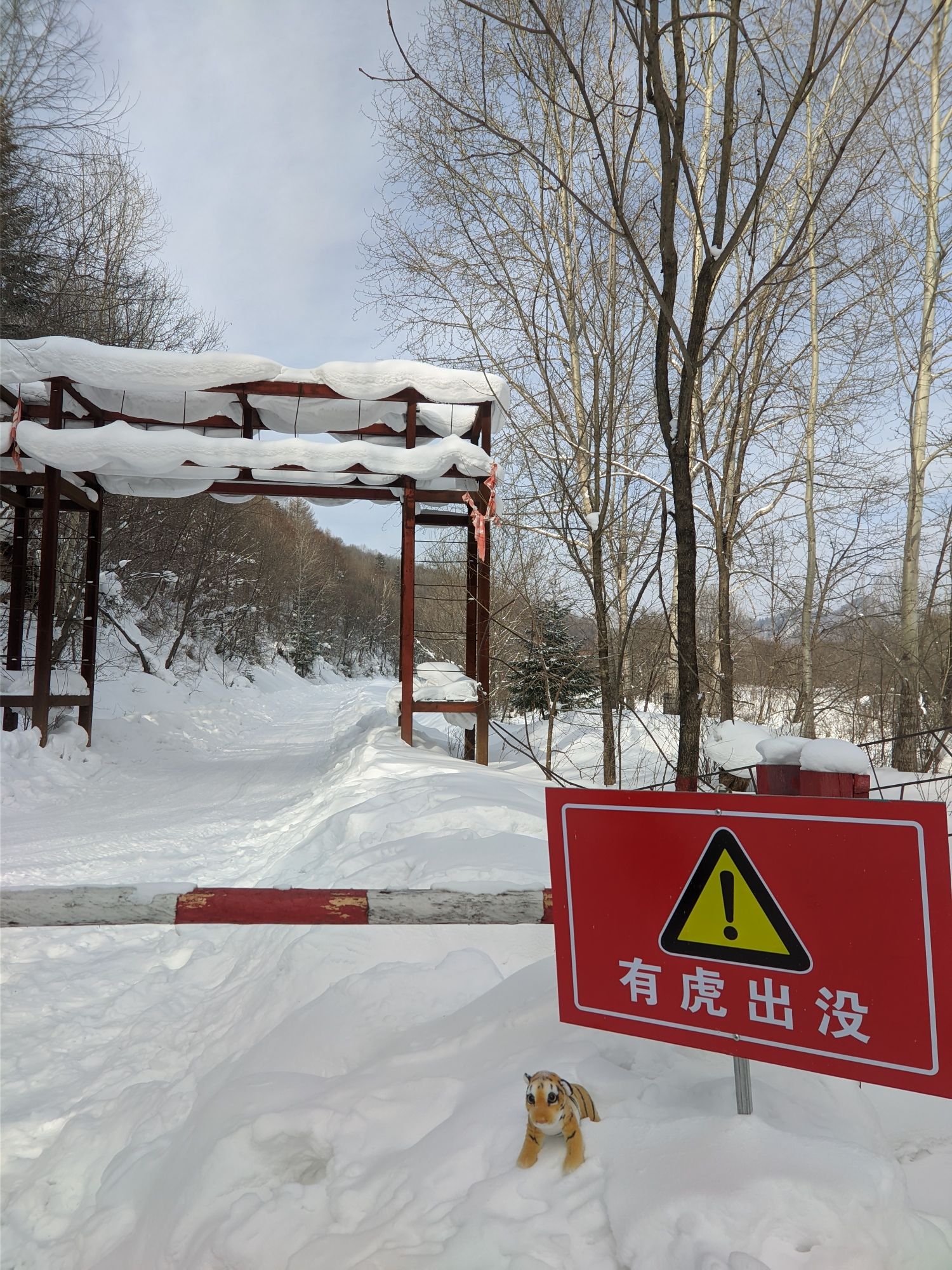 威虎山雪村(暂停开放)旅行图片 1