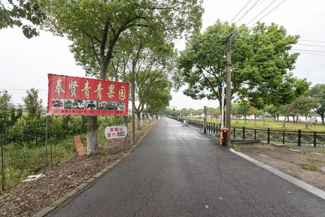 上海玉穗绿苑旅行图片 1