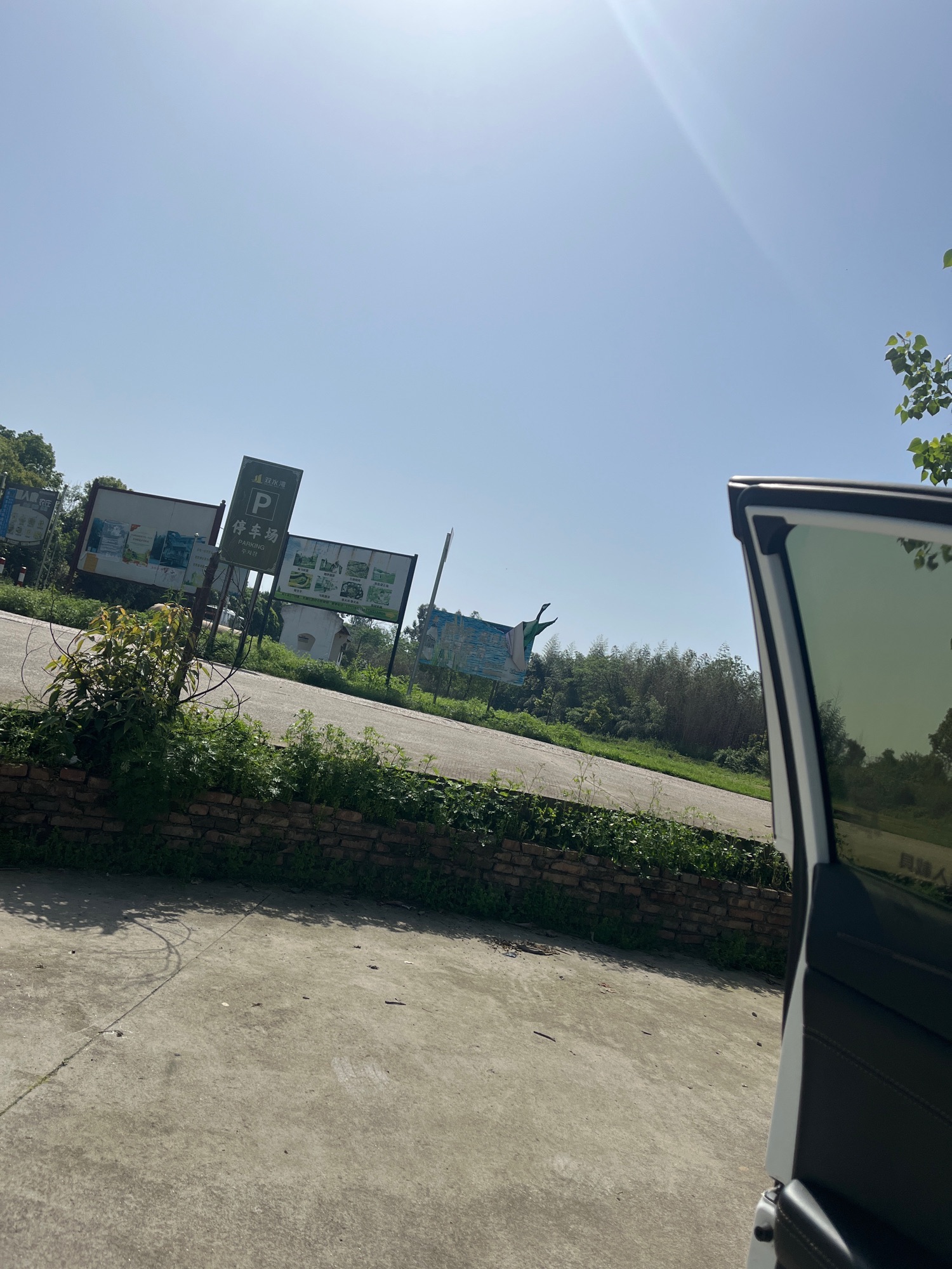 双水湾大雁文化园旅行图片 3