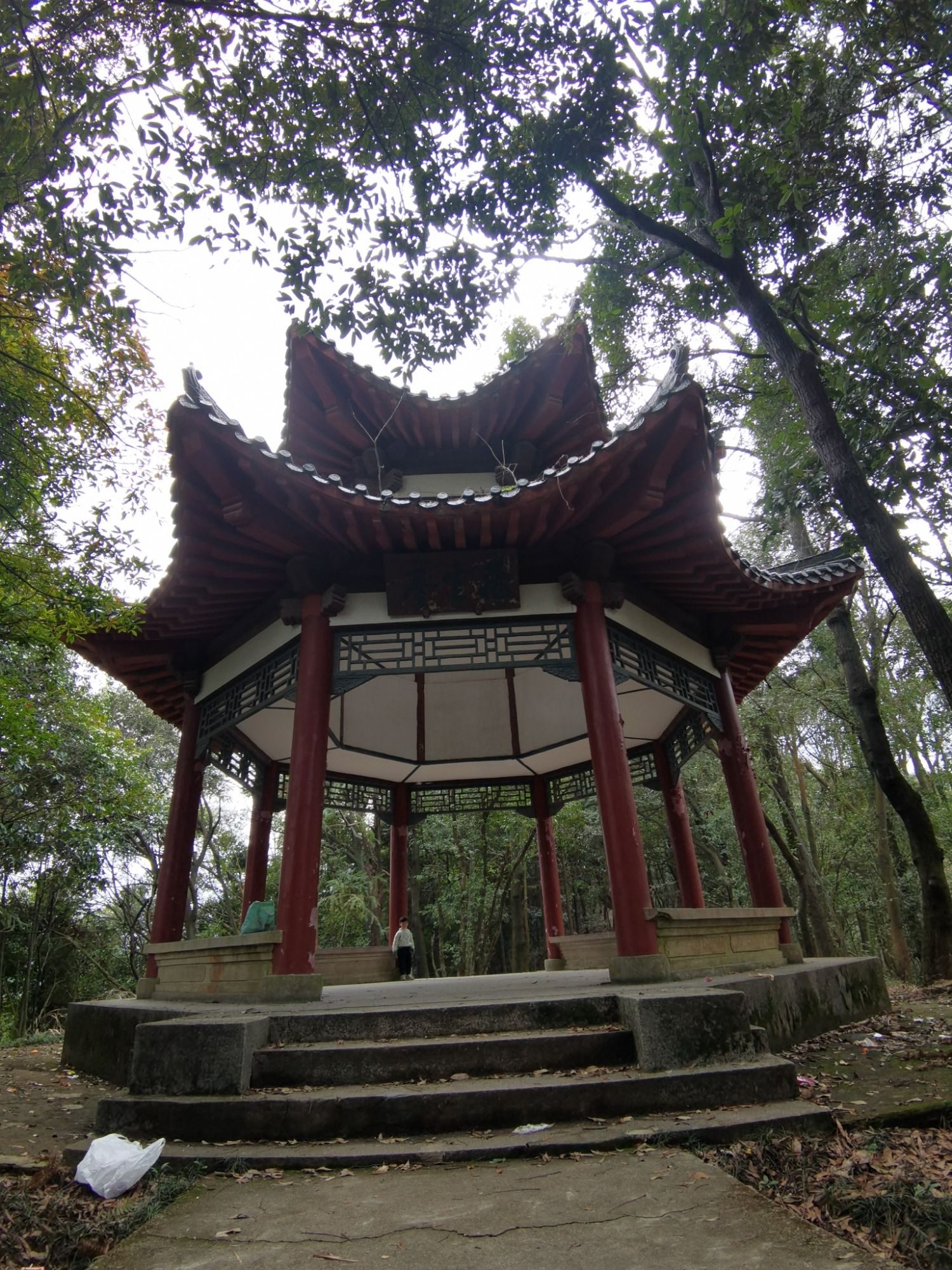 飞云亭旅行图片 1
