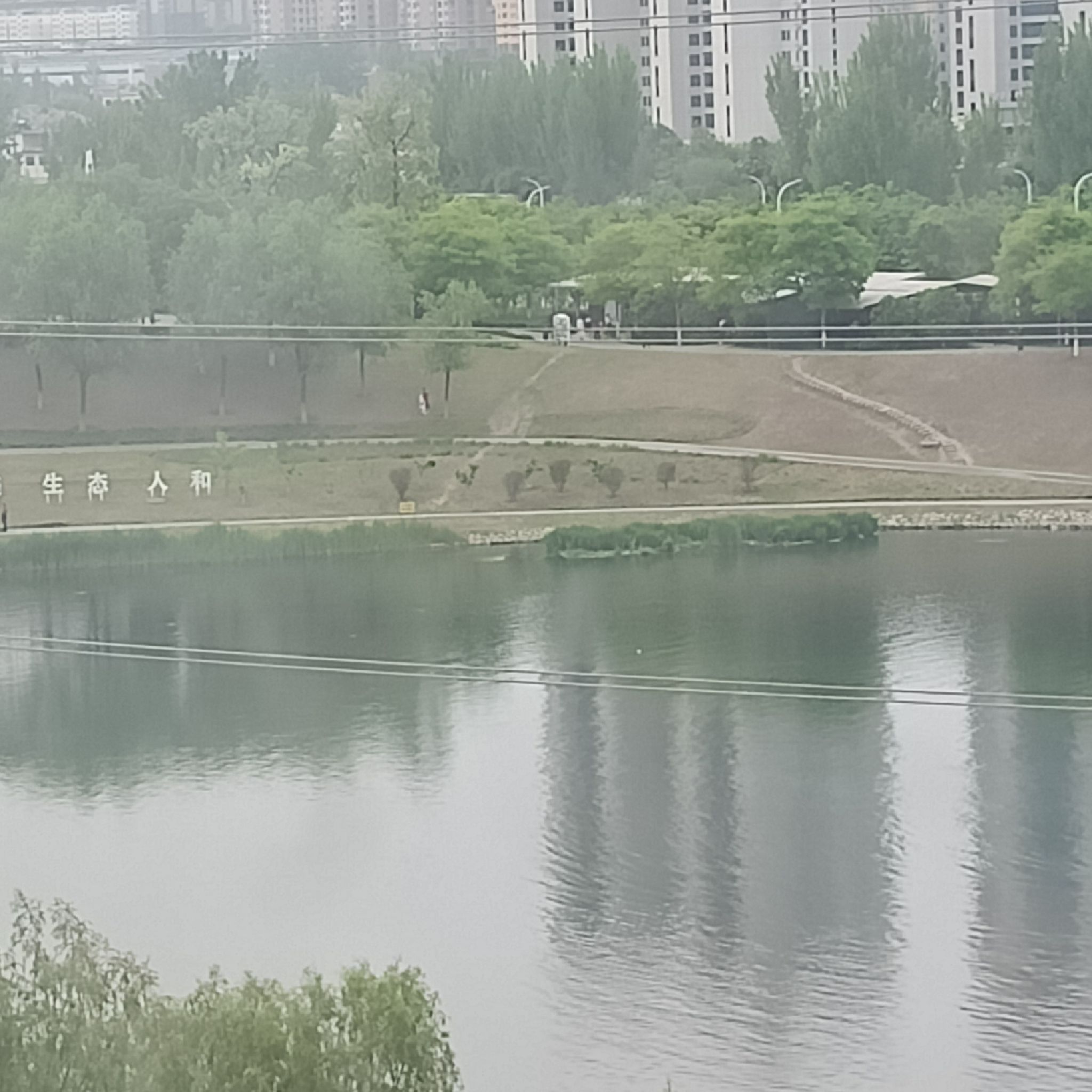 乌江河口公园旅行图片 1