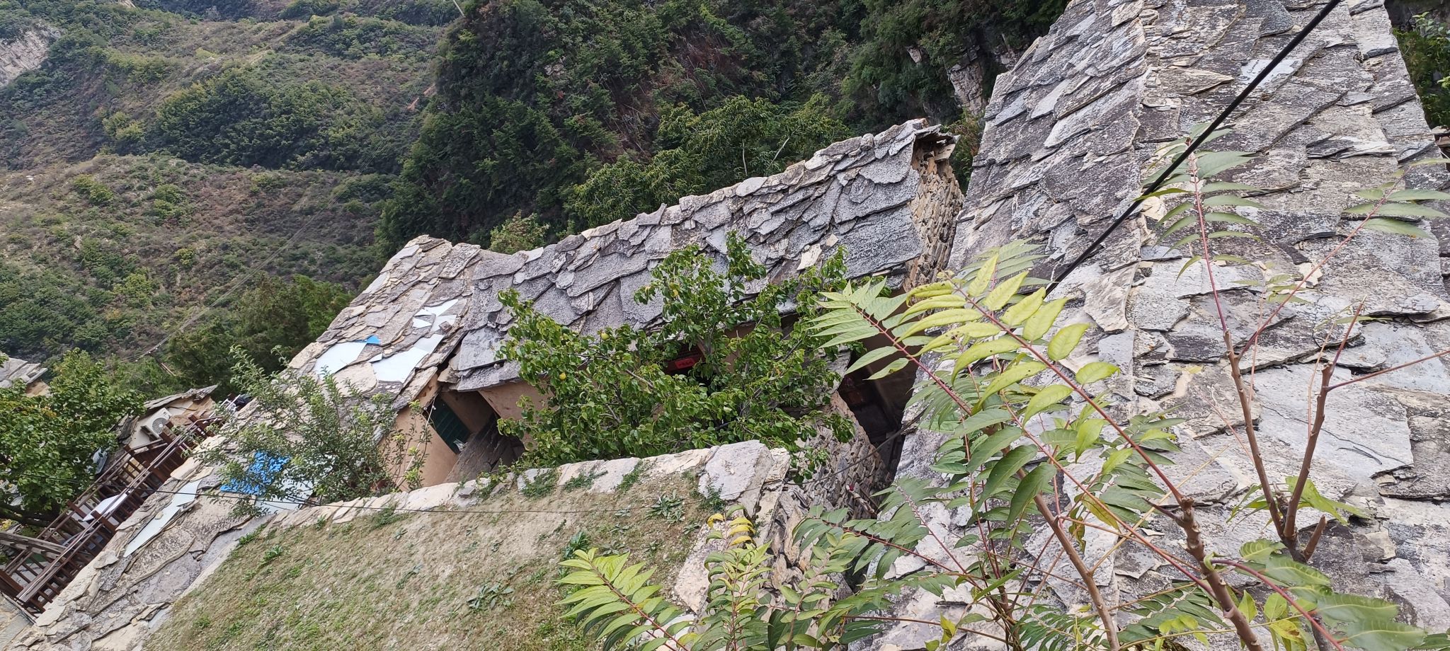 岳家寨景区旅行图片 3