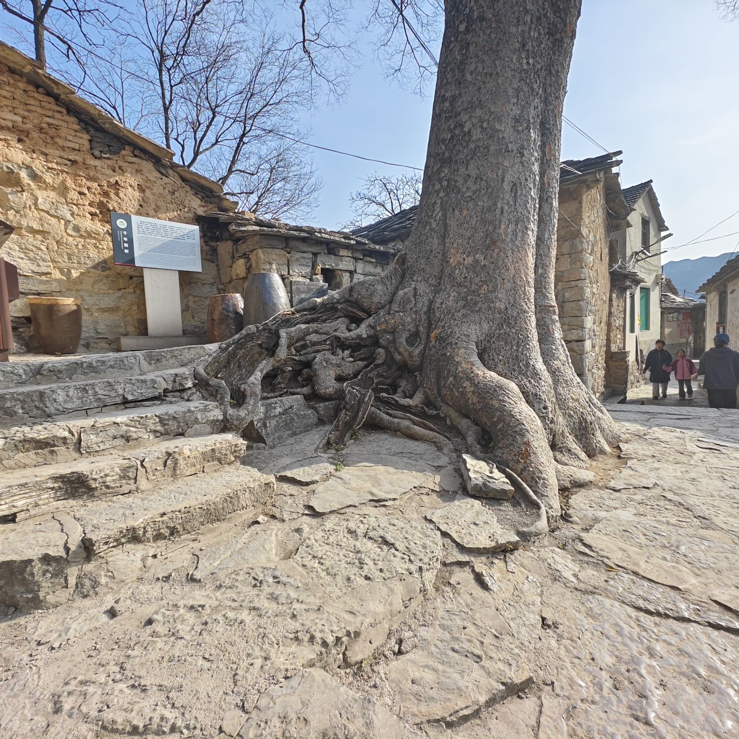 岳家寨景区旅行图片 1