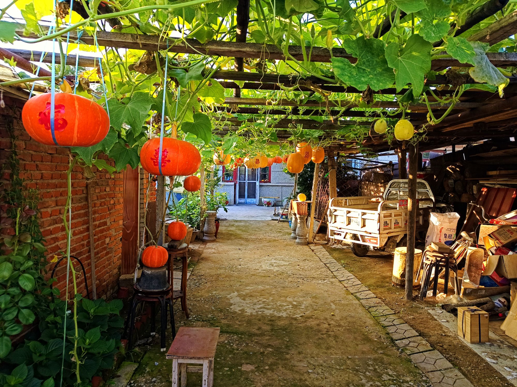 北戴河艺术村落旅行图片 1