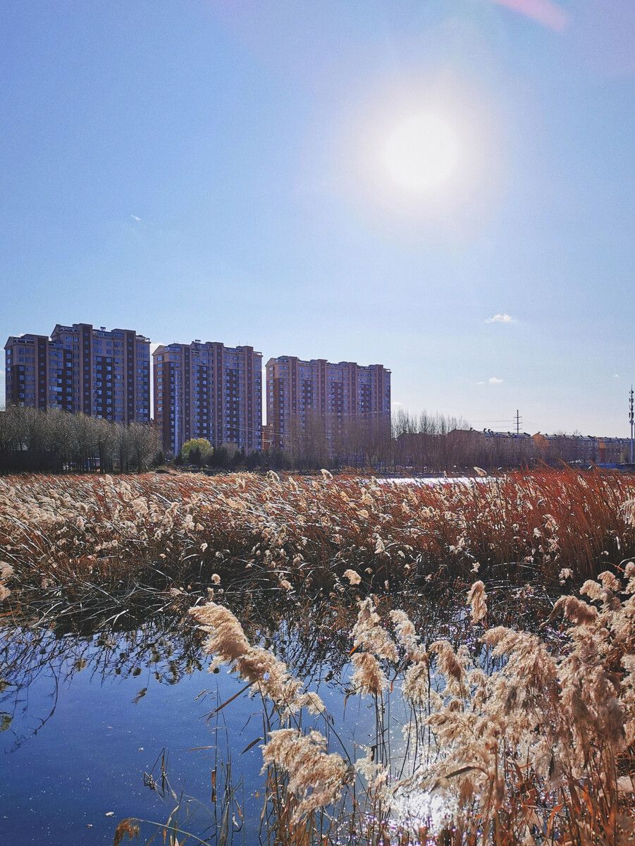 同心湖旅行图片 1