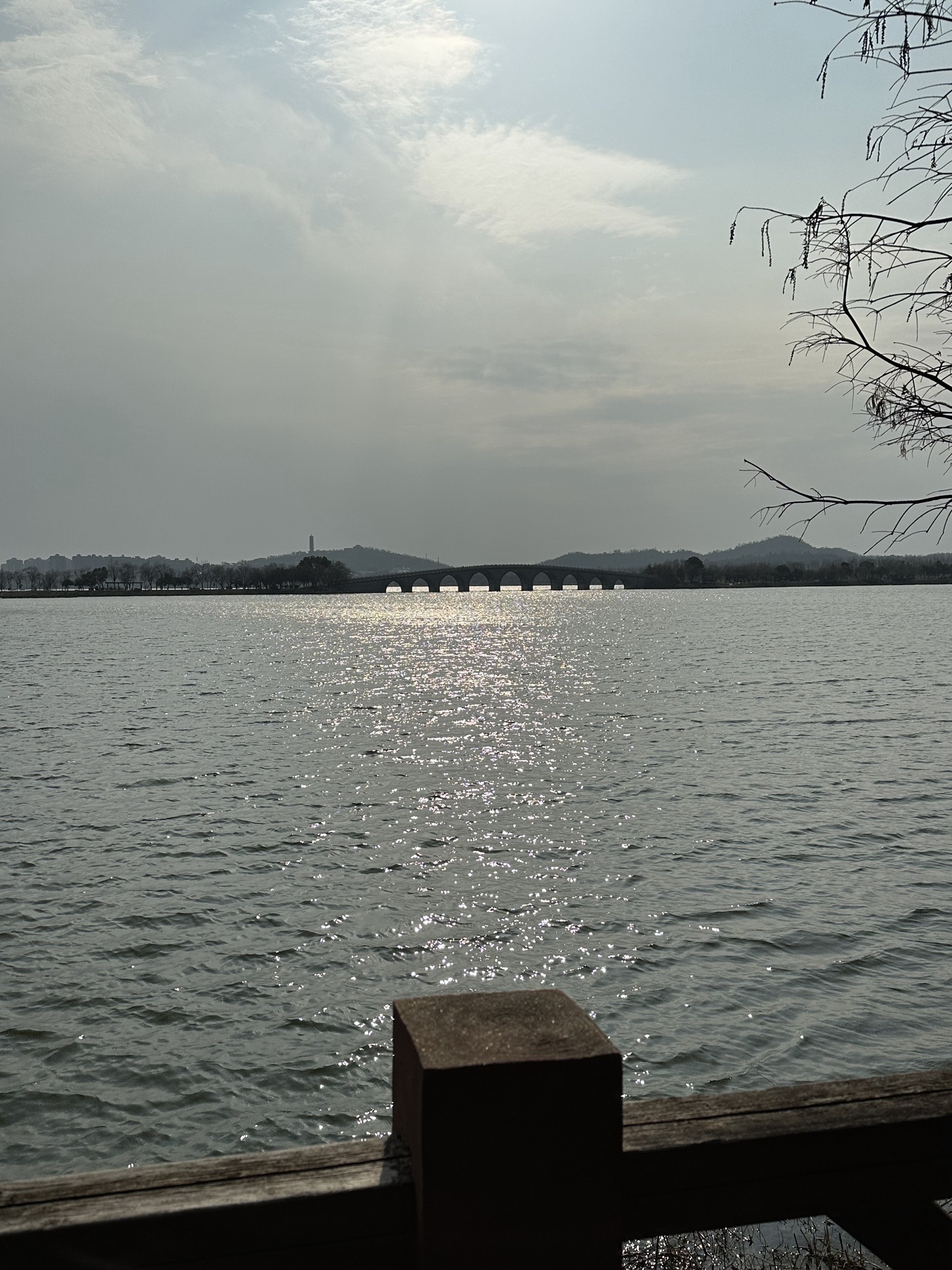 湖南岳阳洞庭湖旅游度假区旅行图片 2