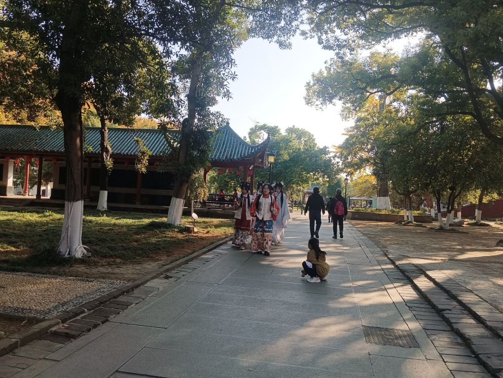 湖南岳阳洞庭湖旅游度假区旅行图片 3