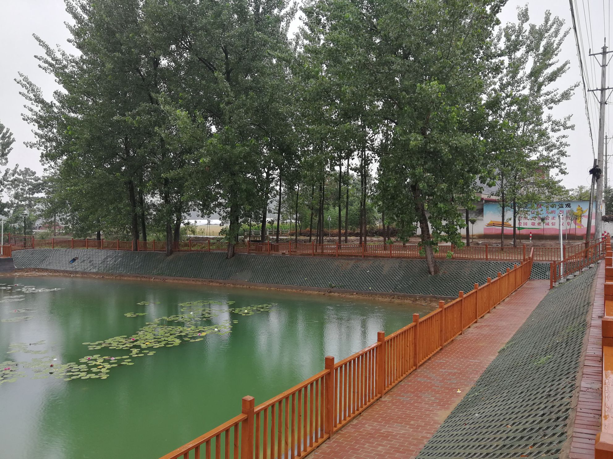 村西公园旅行图片 1