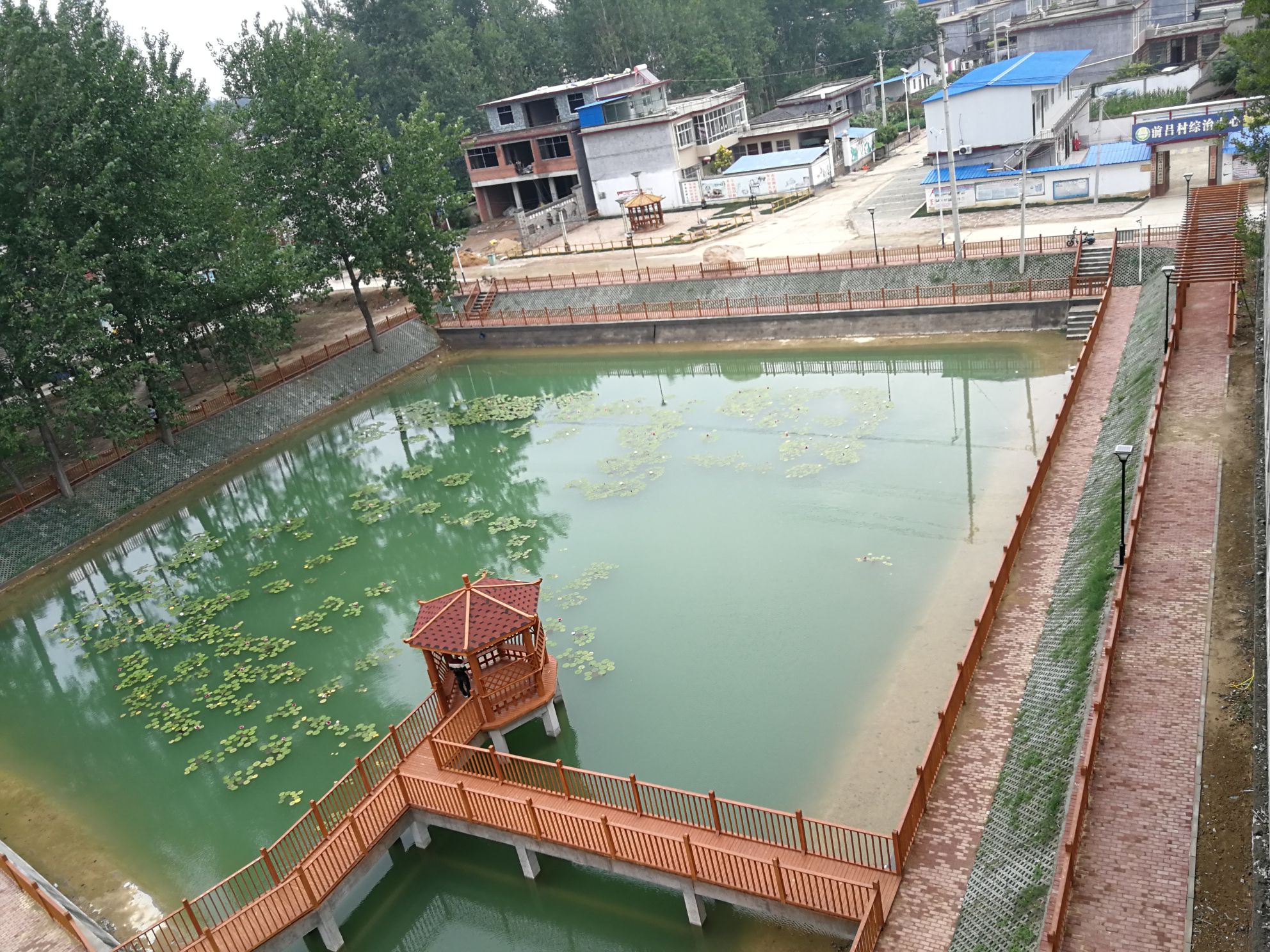 村西公园旅行图片 2