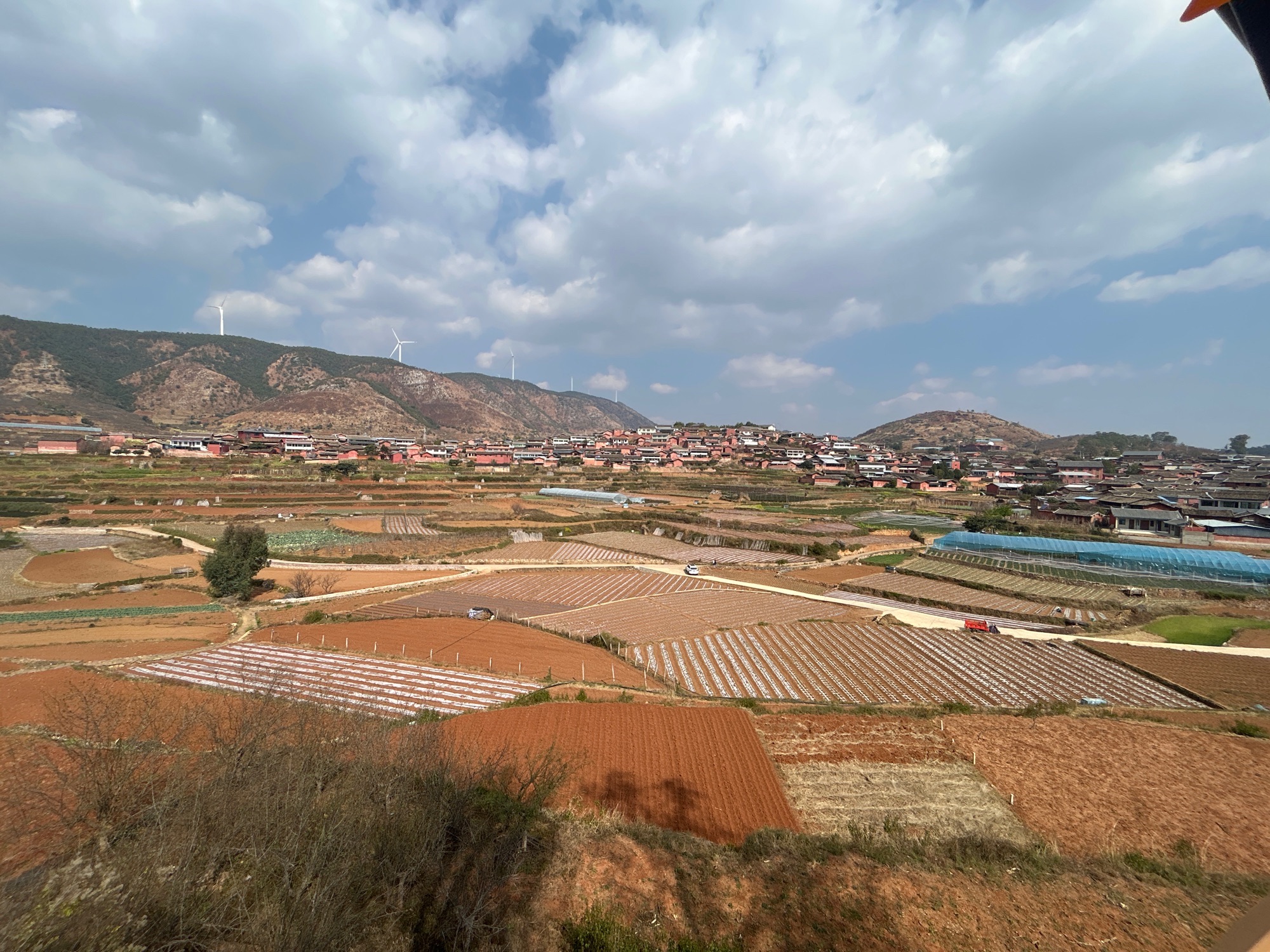 红椿树观景台旅行图片 1