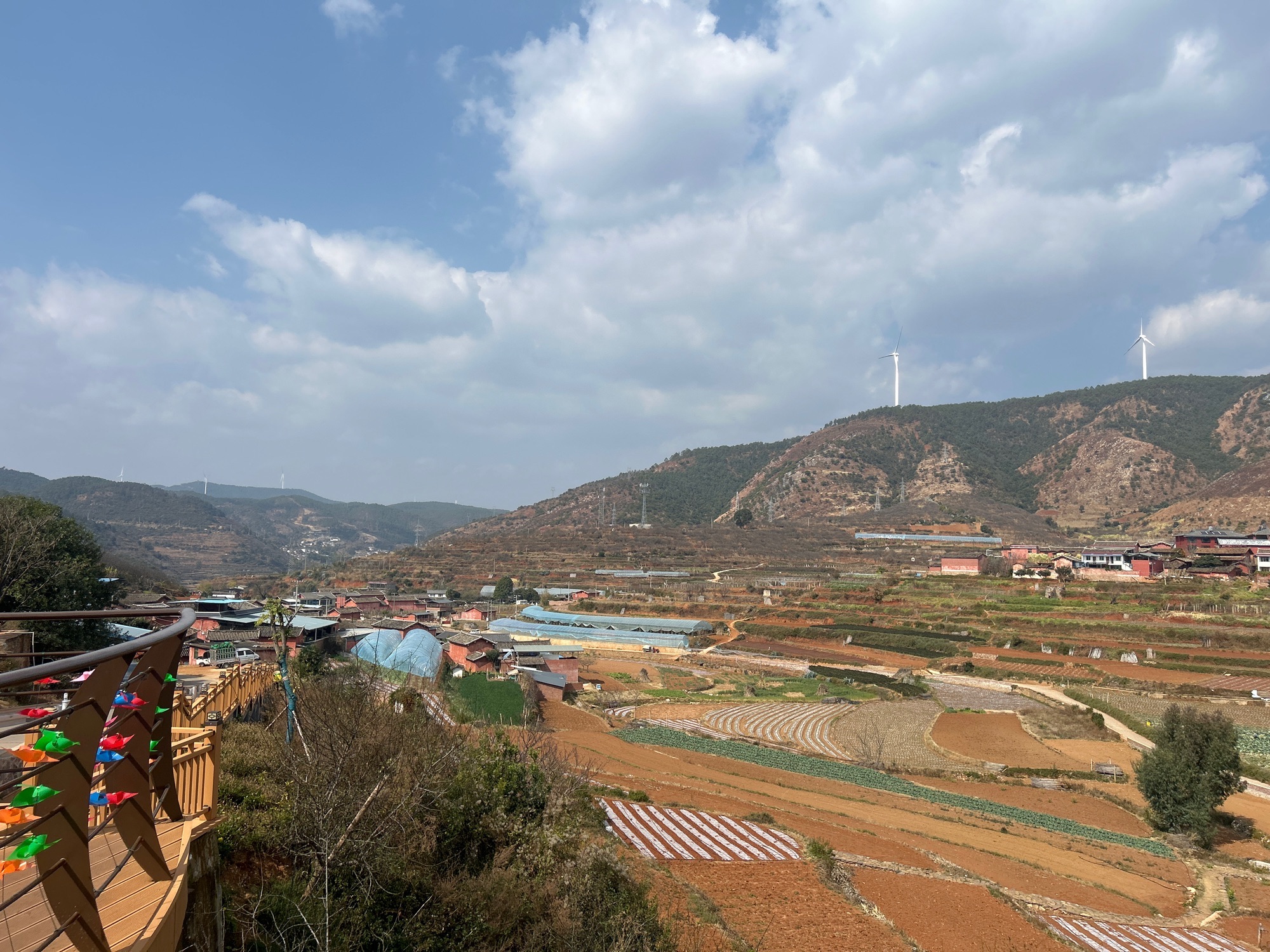 红椿树观景台旅行图片 3