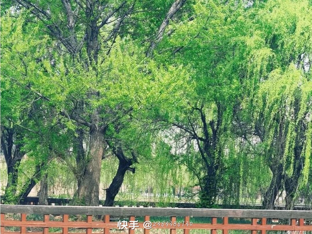 须水河生态公园旅行图片 1
