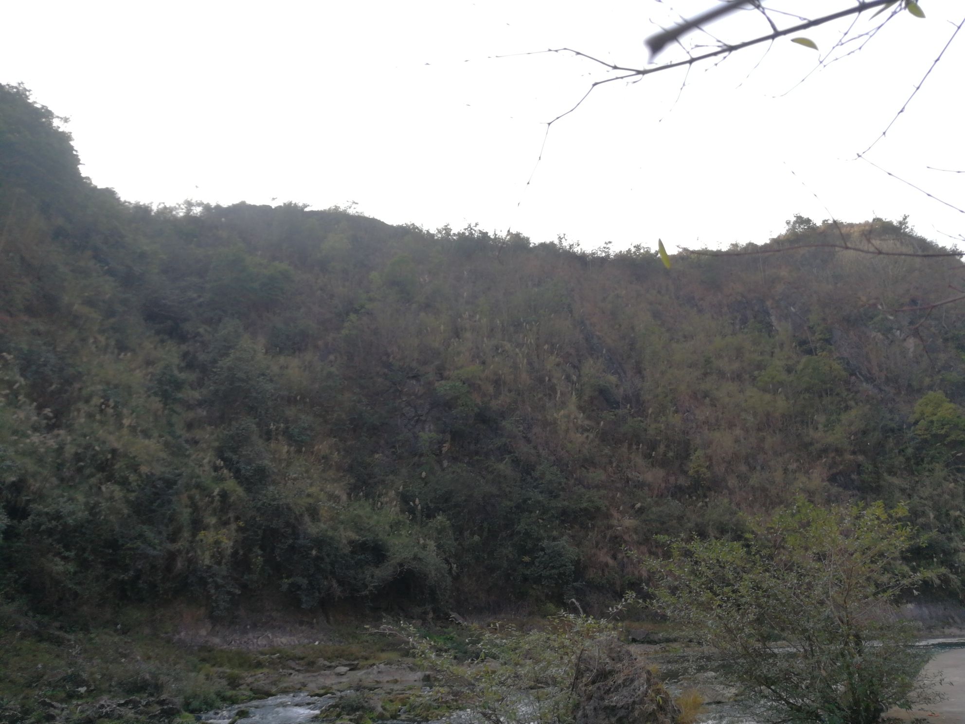 神秘瀑布旅行图片 1