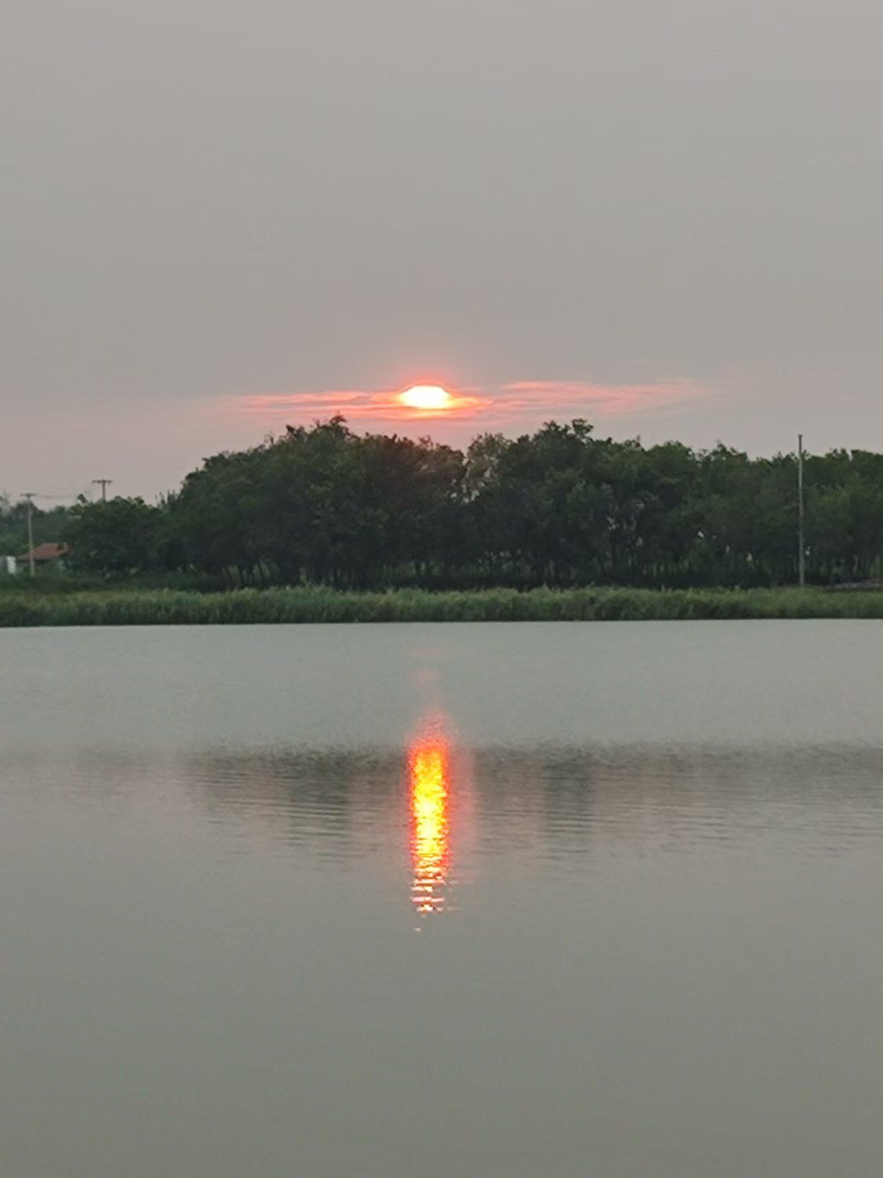 乐陵市中央公园旅行图片 3