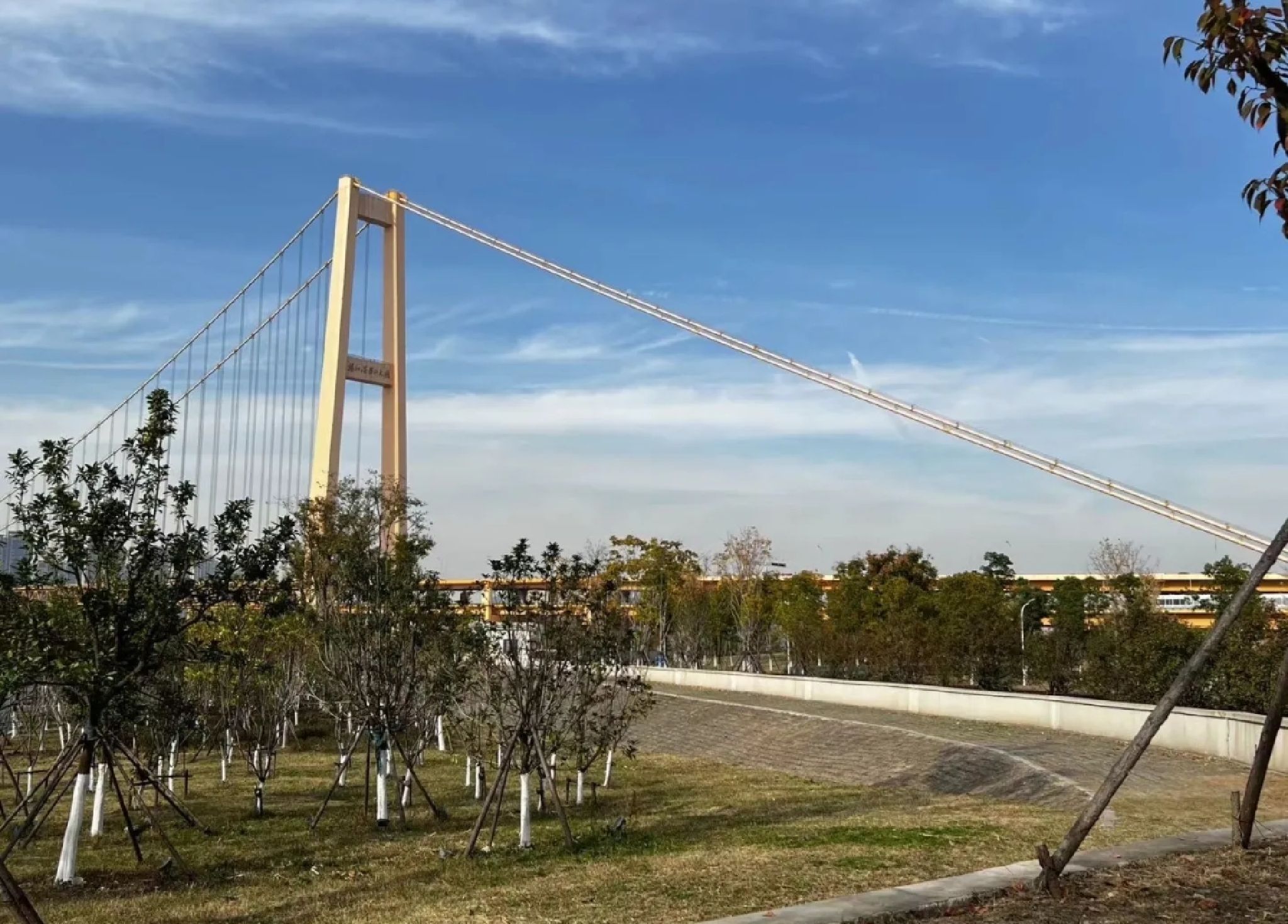 洪山江滩旅行图片 1