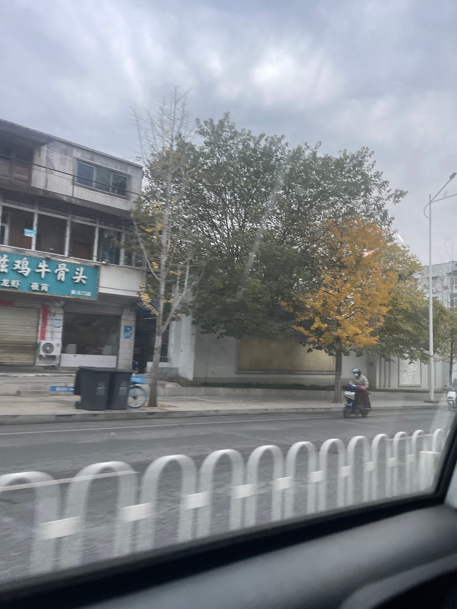 洪山江滩旅行图片 2
