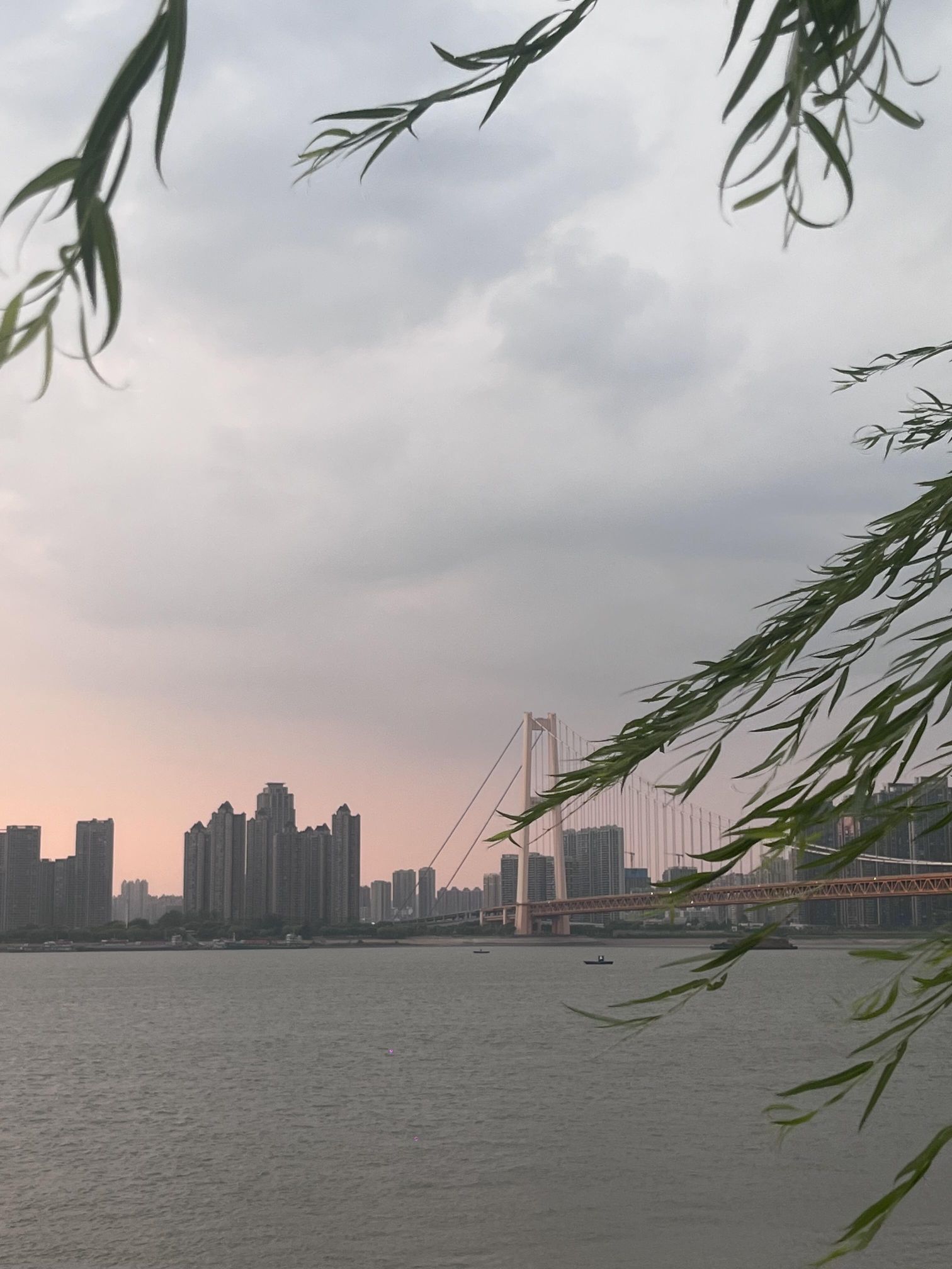 洪山江滩旅行图片 1