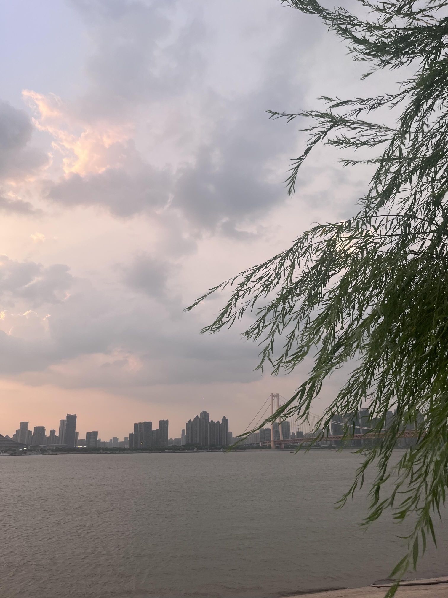 洪山江滩旅行图片 3