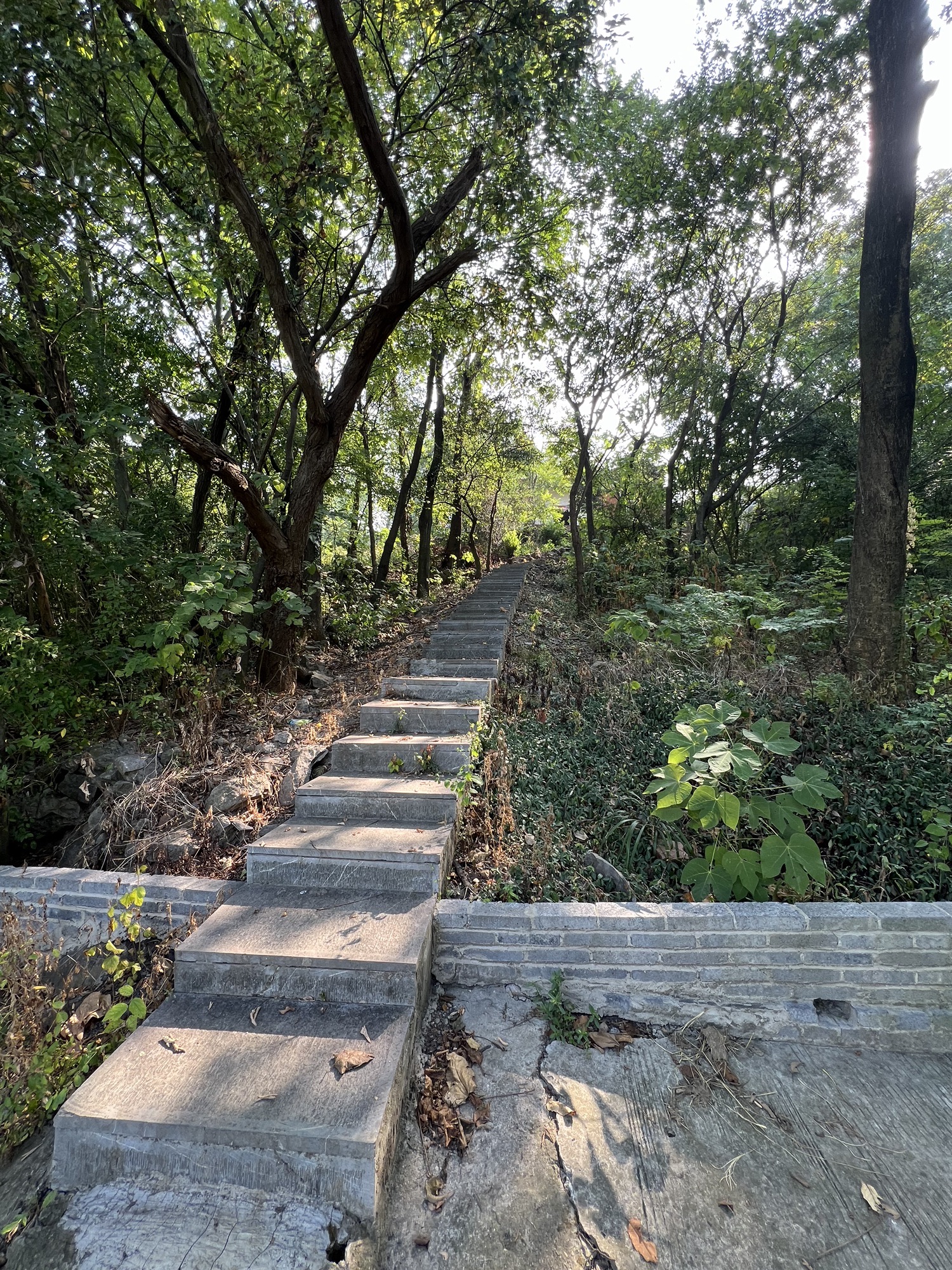 银山智人遗址旅行图片 1